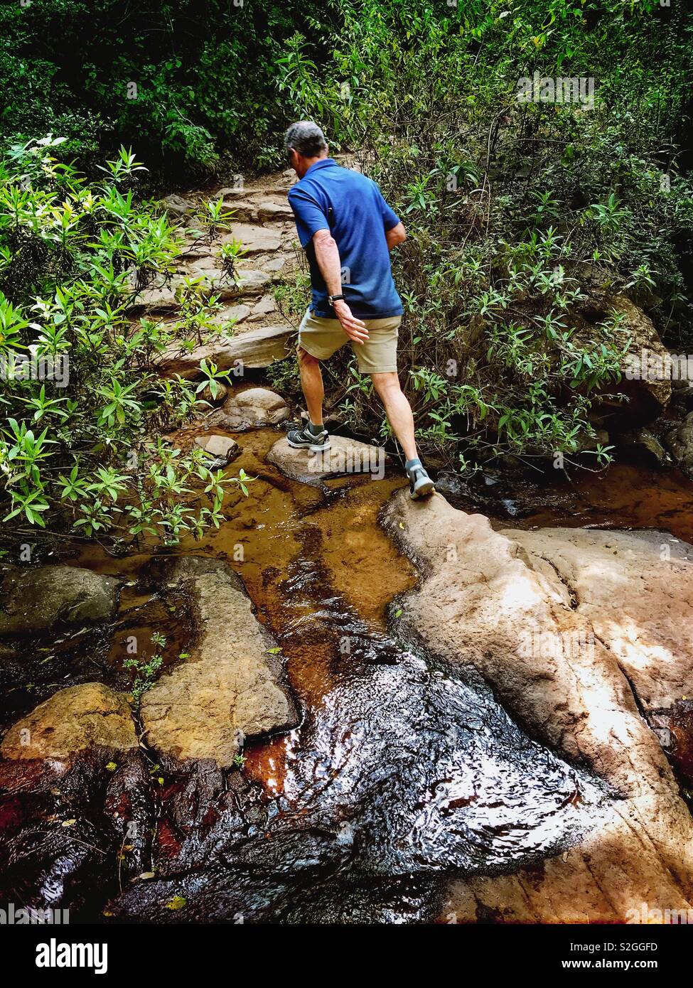 Un senior homme traverse un ruisseau lors d'une randonnée à Salto del Nogal chute près de Tapalpa, au Mexique. Banque D'Images