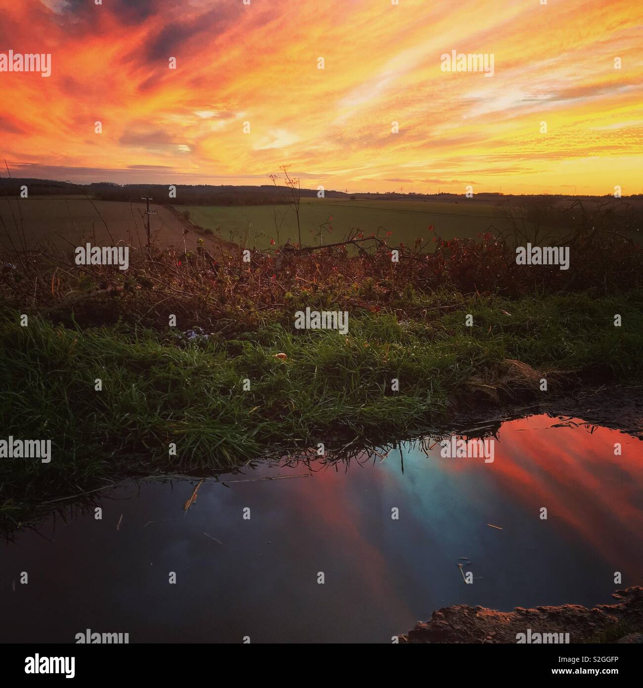 Coucher du soleil et de flaque Banque D'Images