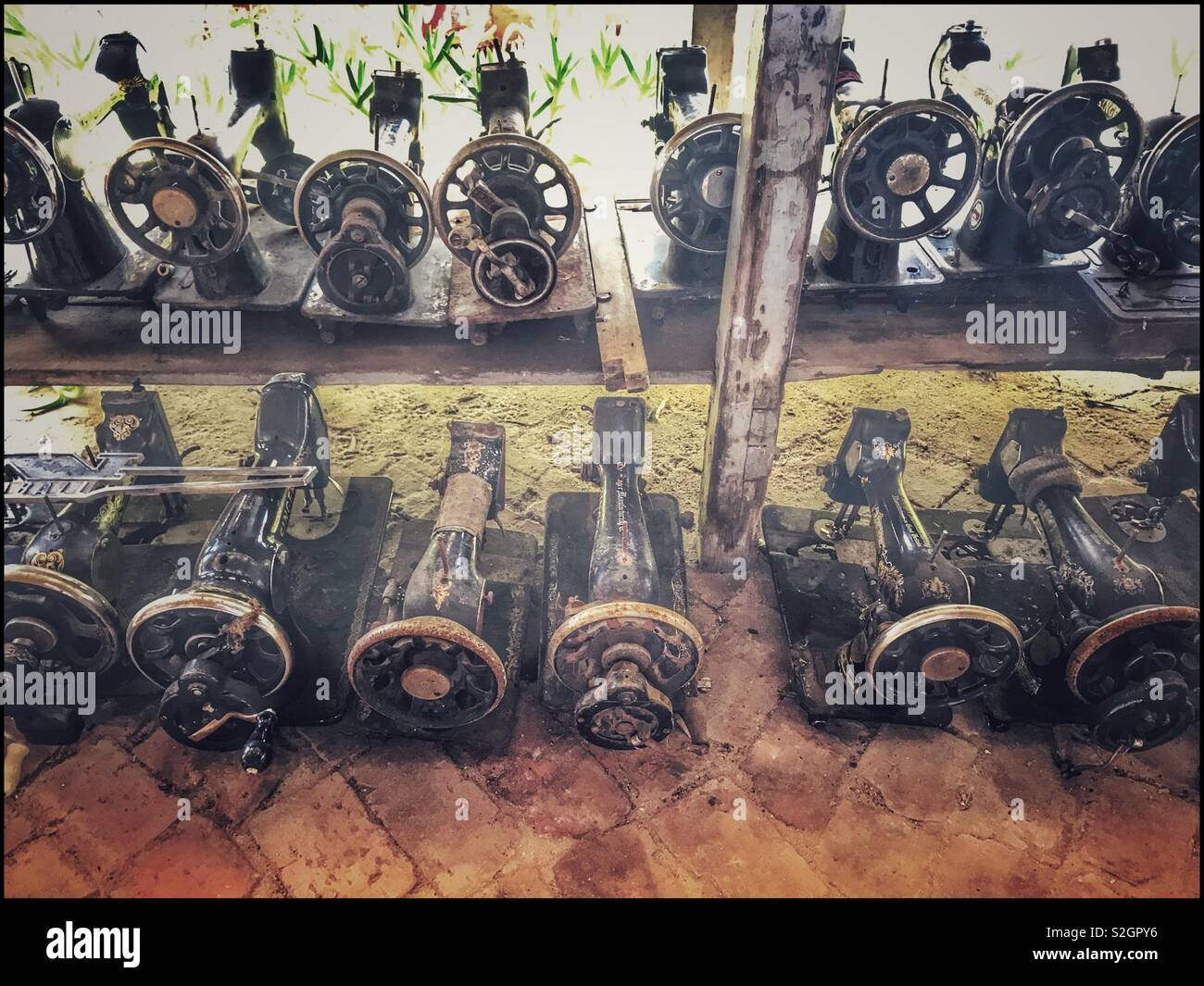 Des rangées de machines à coudre antiques dans Windmeul à Toeka Stoor près de Paarl, Afrique du Sud. Banque D'Images