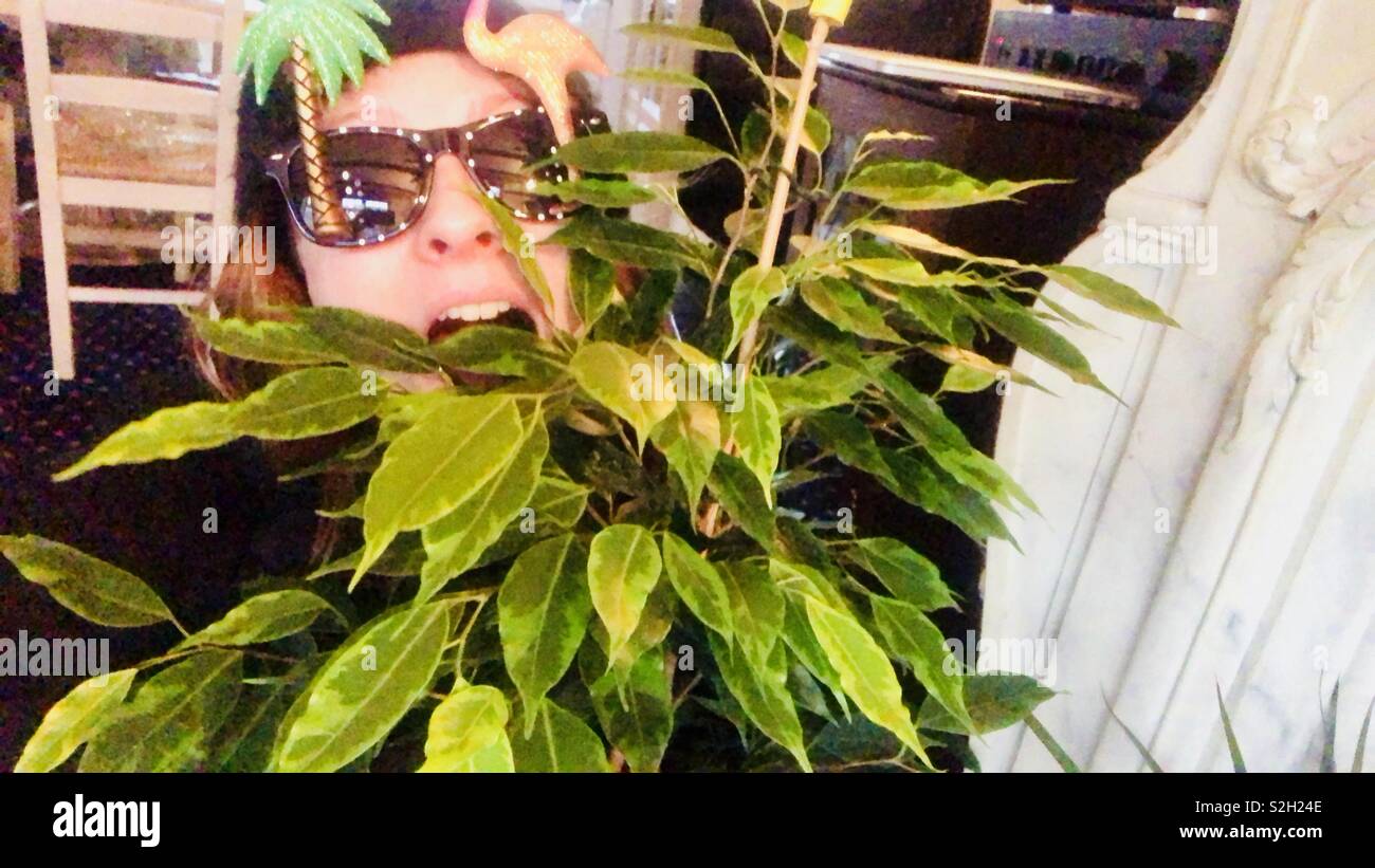 Jeune femme portant des lunettes avec la nouveauté de plante selfies Banque D'Images
