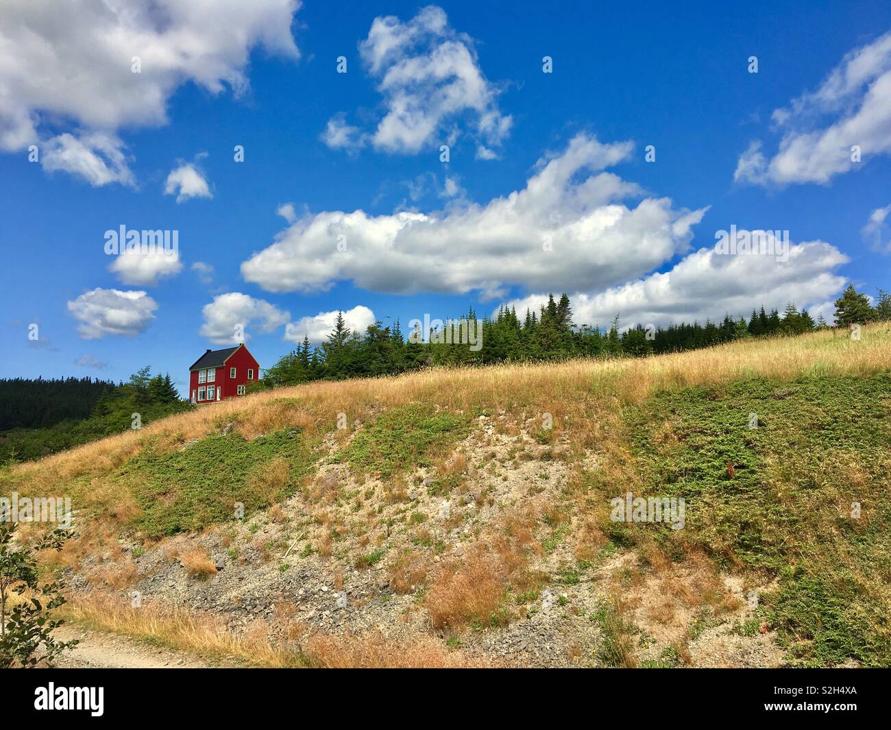 Maison rouge solitaire sur une colline avec des arbres un puffy white clouds - Image de stock capturée avec un smartphone