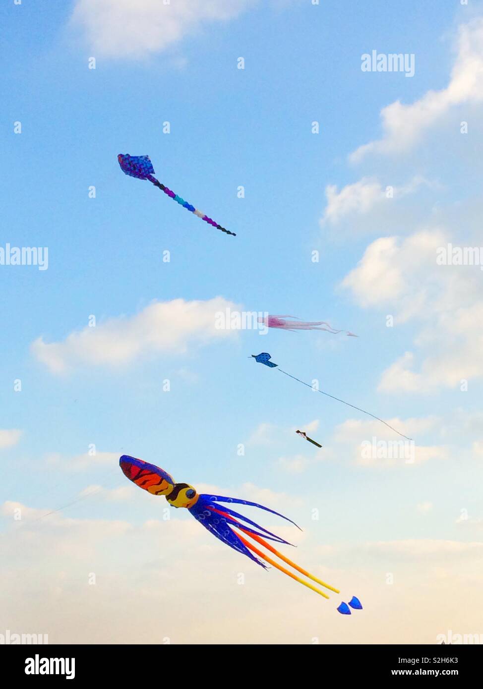 Cerfs-volants colorés en forme d'encornet volant au-dessus de la plage de Walmer, dans le Kent, UK Banque D'Images