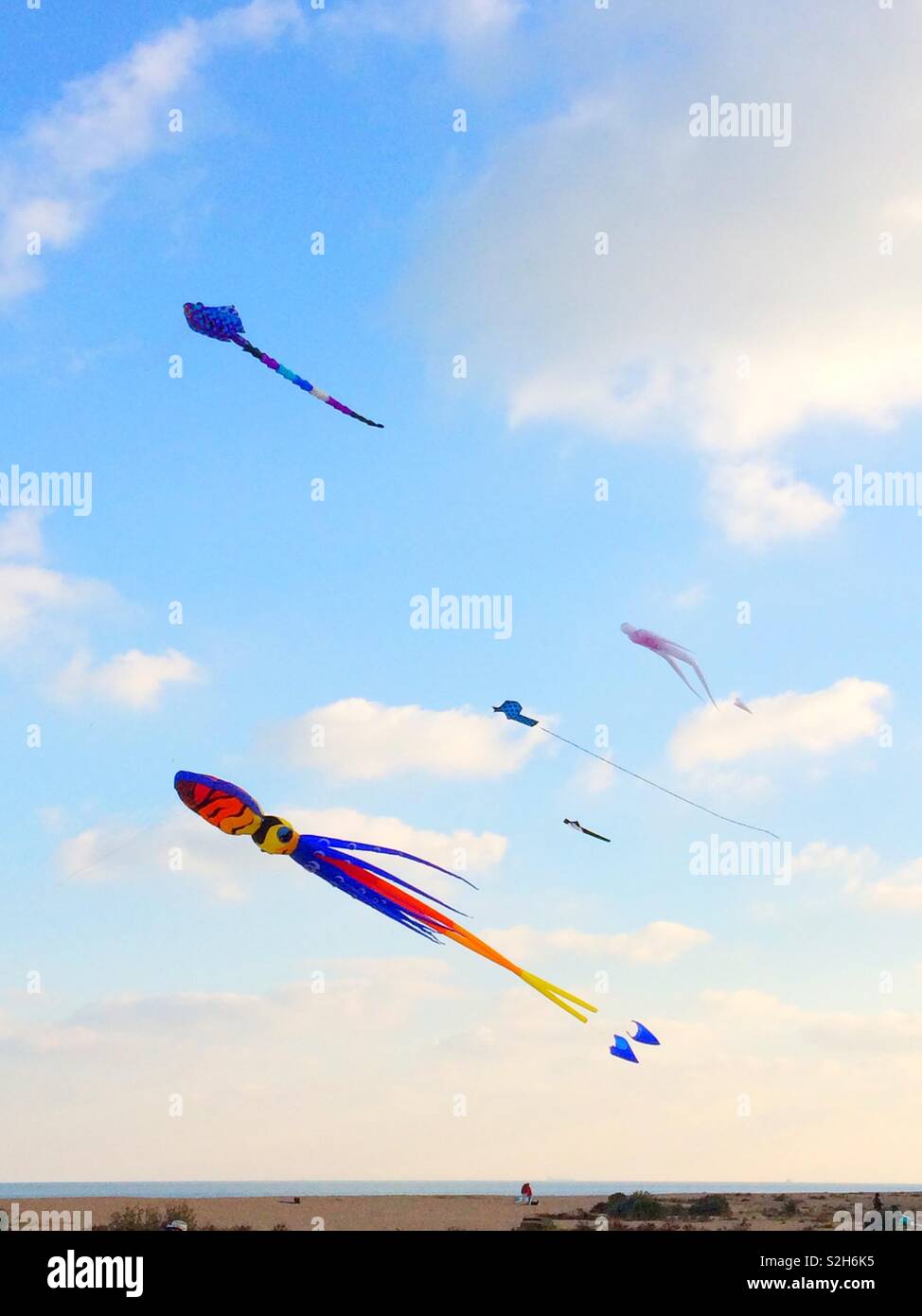 Cerfs-volants en forme d'encornet volant au-dessus de la plage de Walmer, dans le Kent, UK Banque D'Images