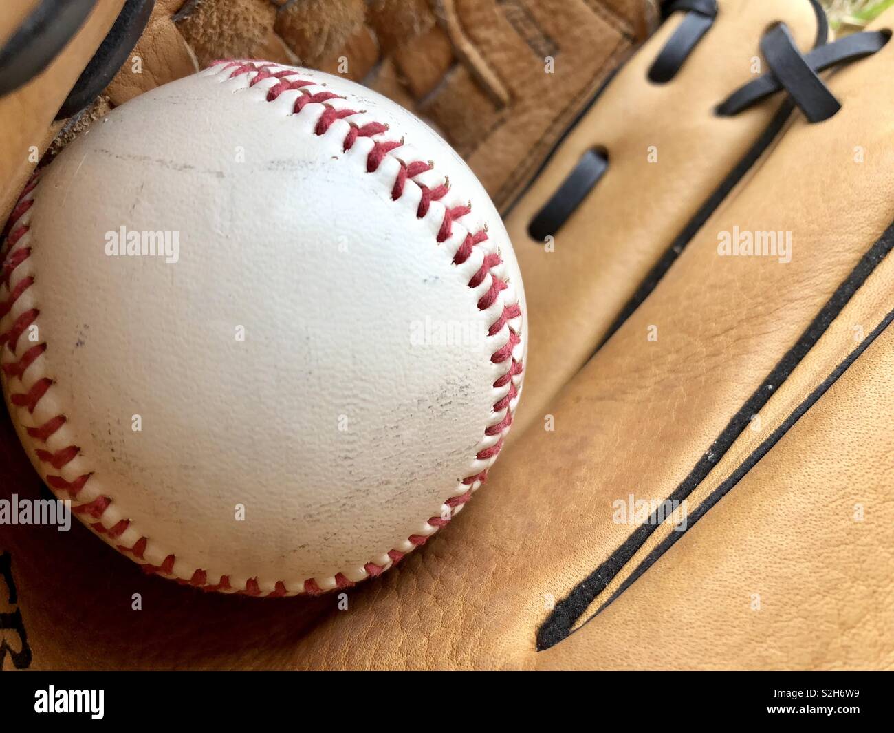 Dans un gant de baseball Banque D'Images