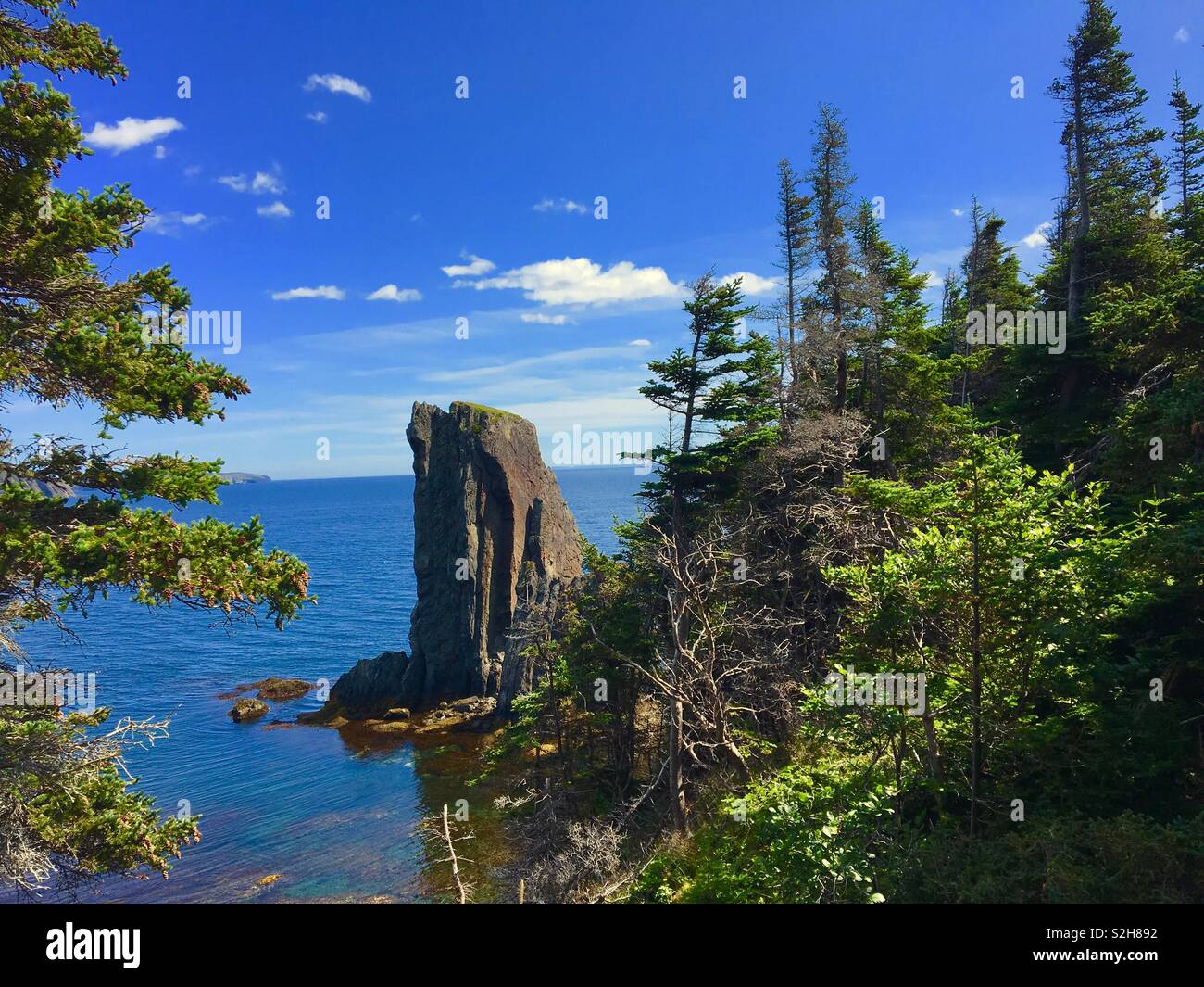 Vue côtière sur le sentier Skerwink dans Terre-Neuve Canada Banque D'Images