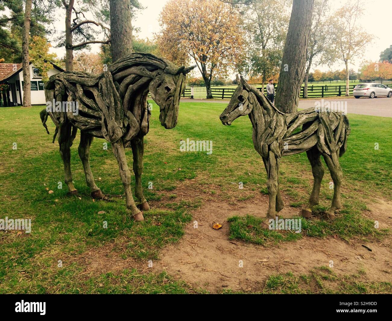 Cheval en bois rustique sculpture dans les jardins de l'Irish National Stud en France - Image de stock capturée avec un smartphone