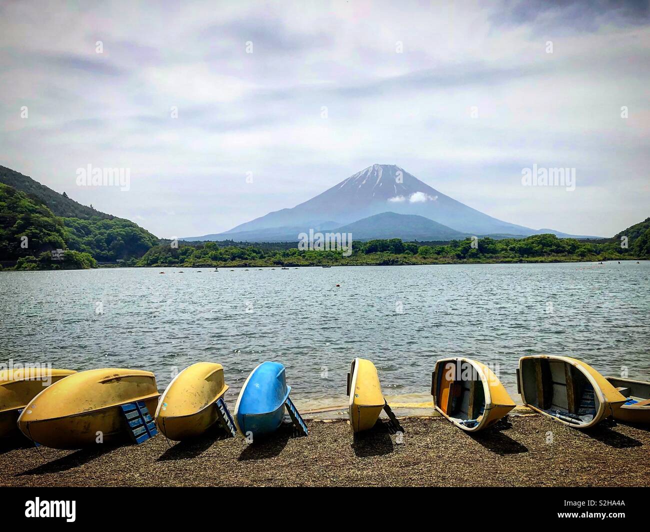 Lac Shoji, le Mont Fuji, Japon Banque D'Images