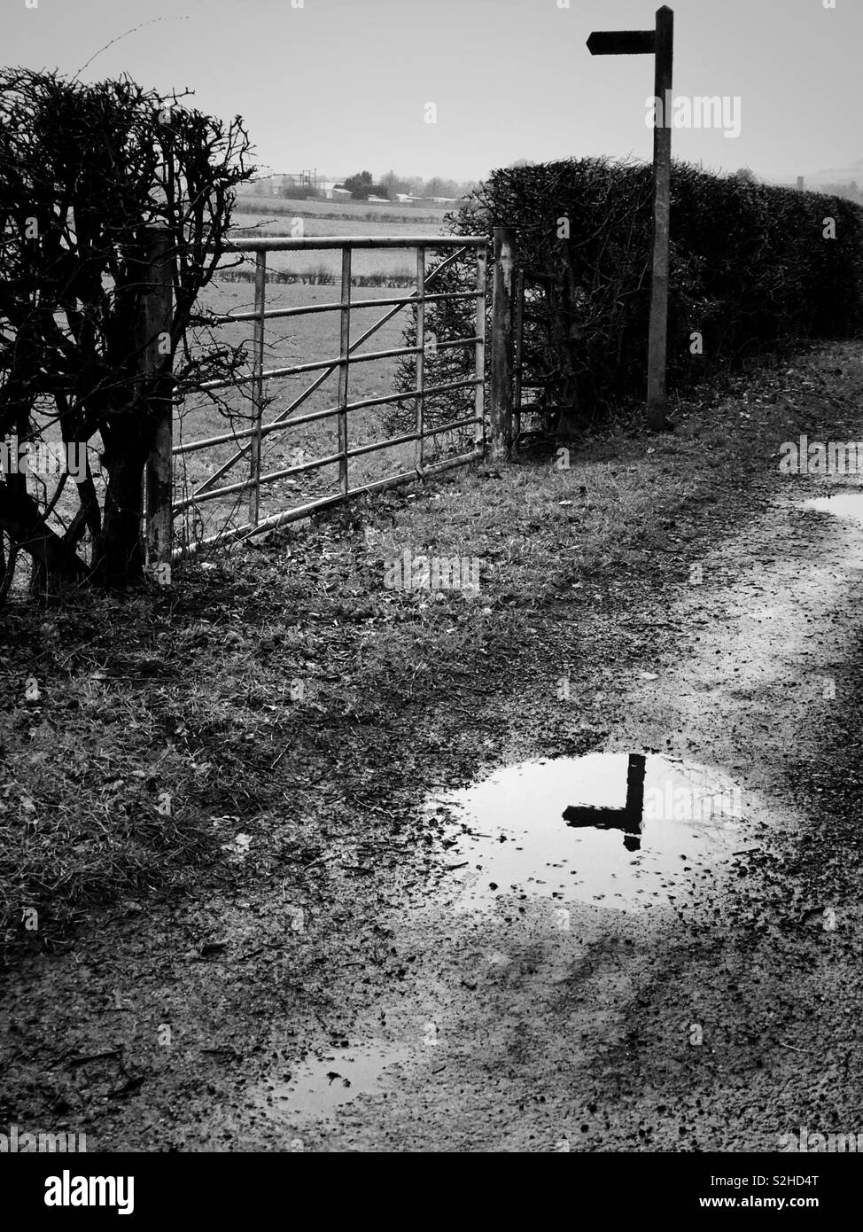 Journée humide comme un sentier public post reflète dans une flaque d'eau sur une route de gravier. Banque D'Images