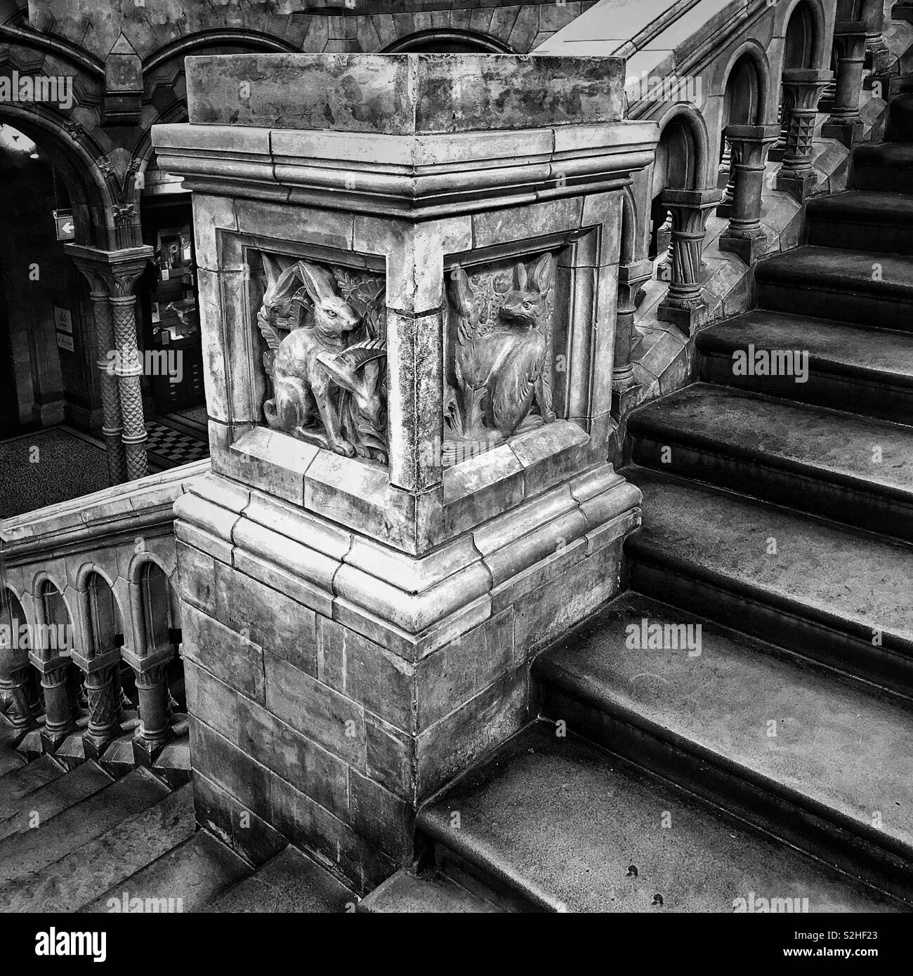 Un coin de l'escalier principal au Musée d'histoire naturelle de Londres, Angleterre Banque D'Images
