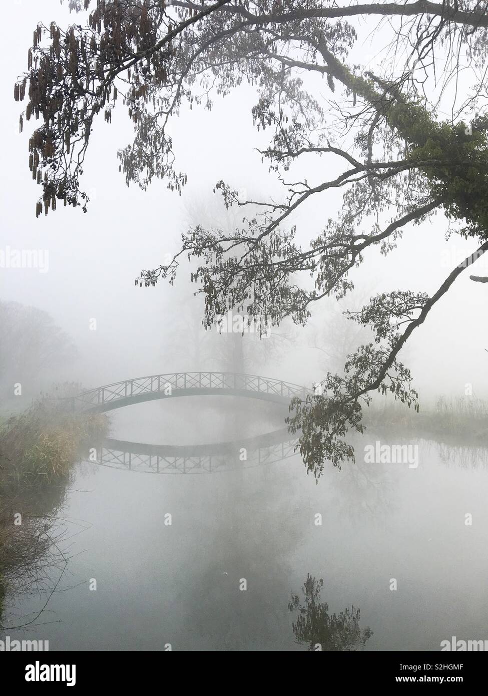 Un matin brumeux sur la rivière Avon - Image de stock capturée avec un smartphone