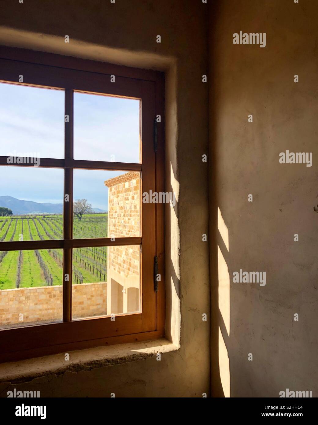 Par la fenêtre Scène au vignoble Banque D'Images