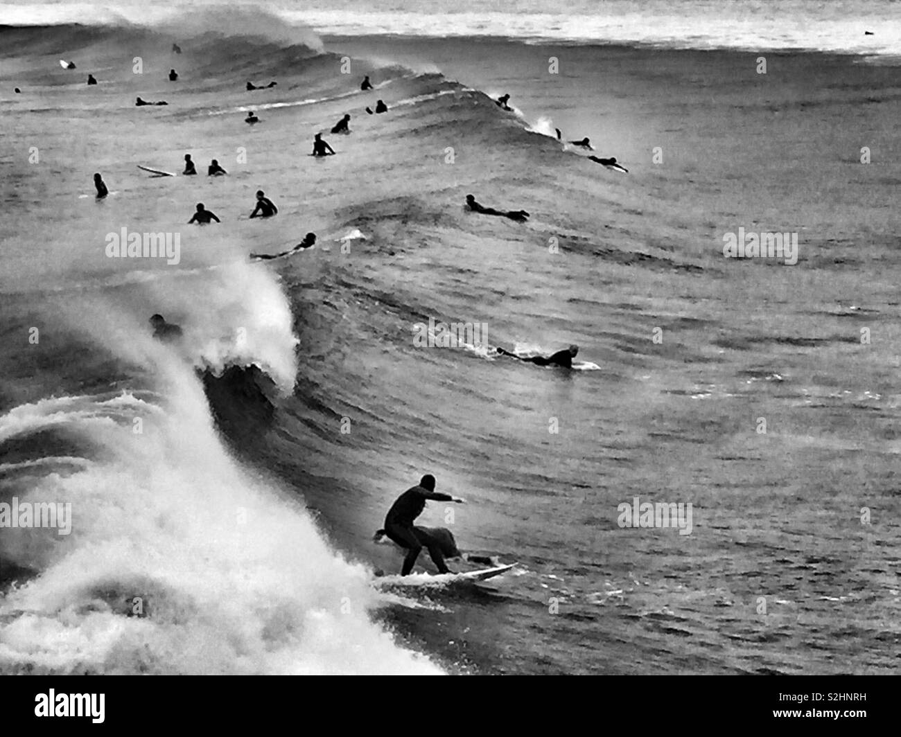 Surfs up Banque D'Images
