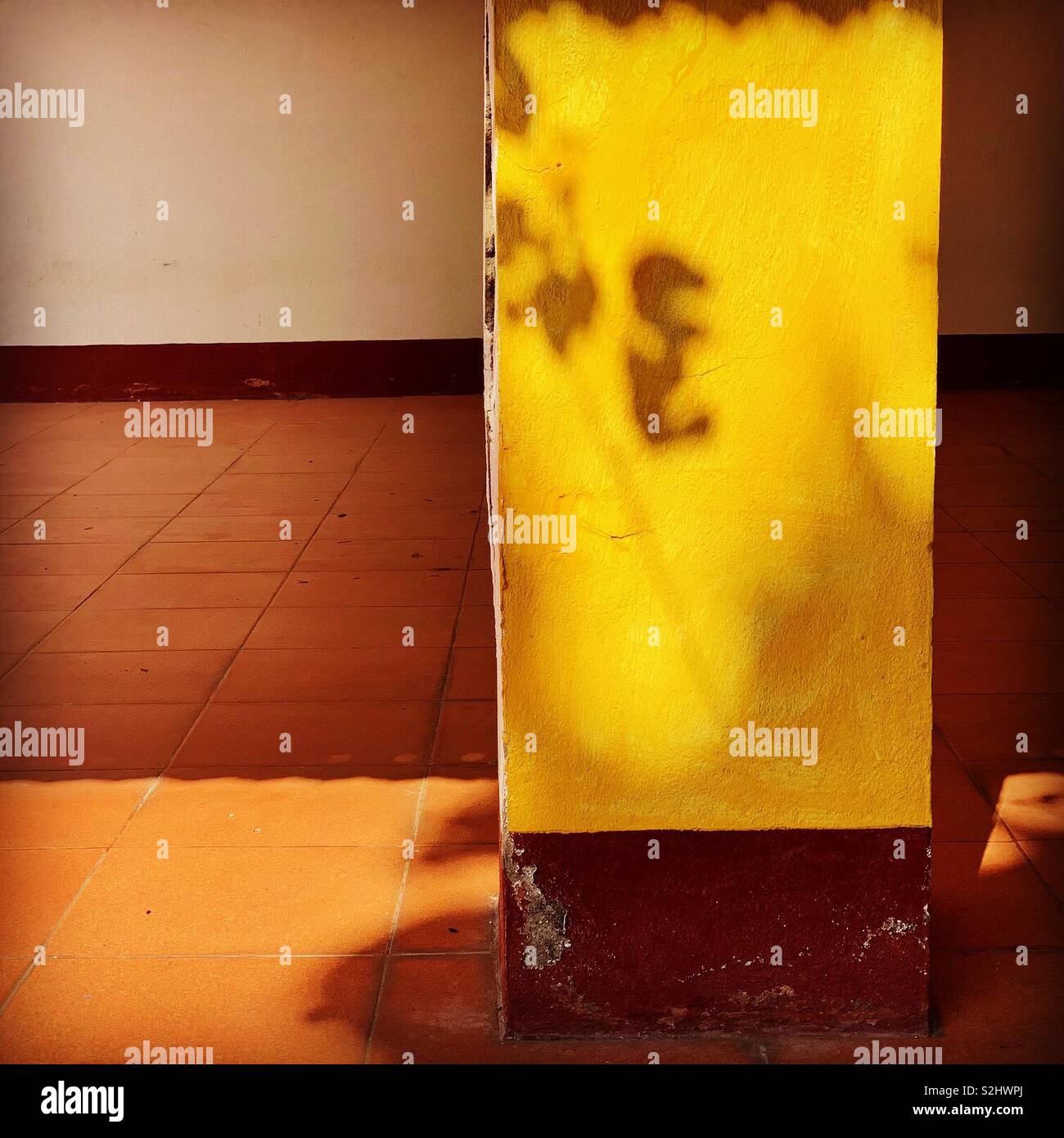 Ombres Banque D'Images