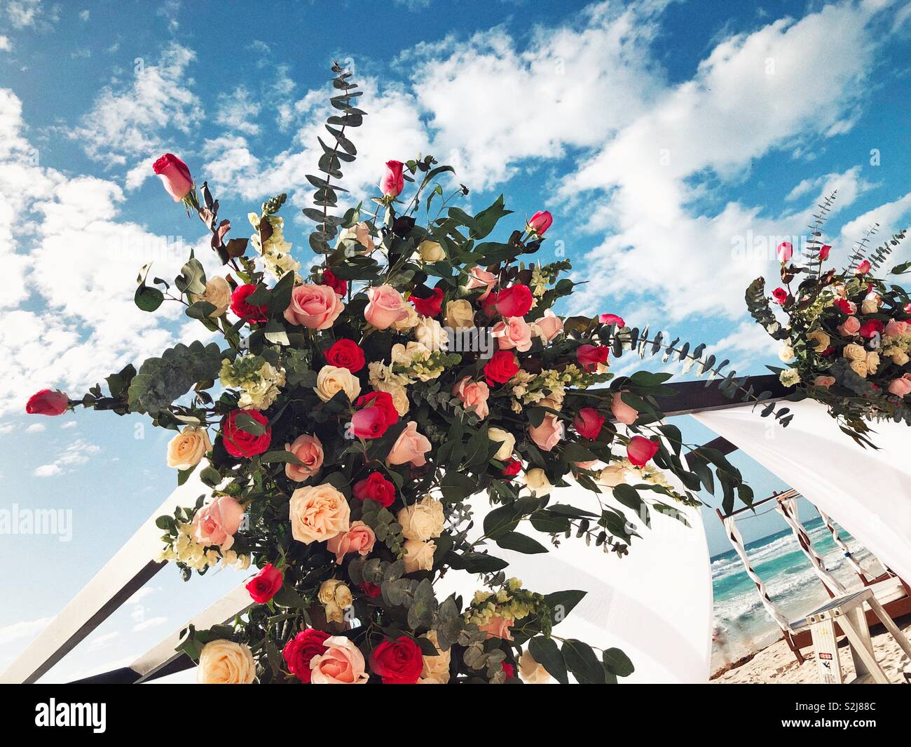 Mariage bouquet de roses rose et rouge décore arch de mariage sur la plage à Cancun, Mexique - Image de stock capturée avec un smartphone