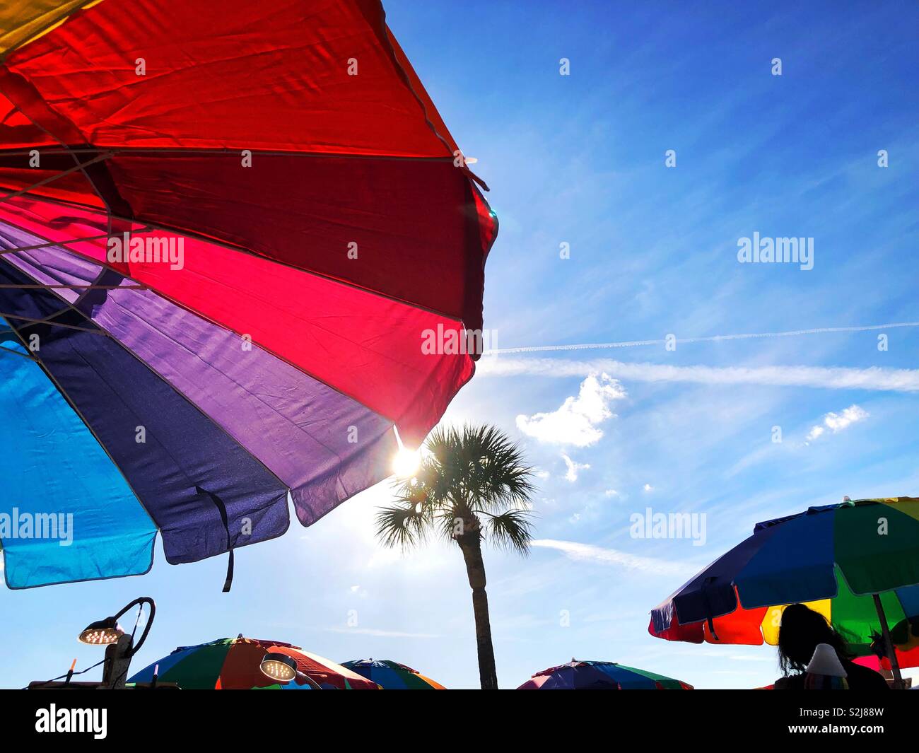 Parasols arc-en-ciel et palmier en Floride Banque D'Images