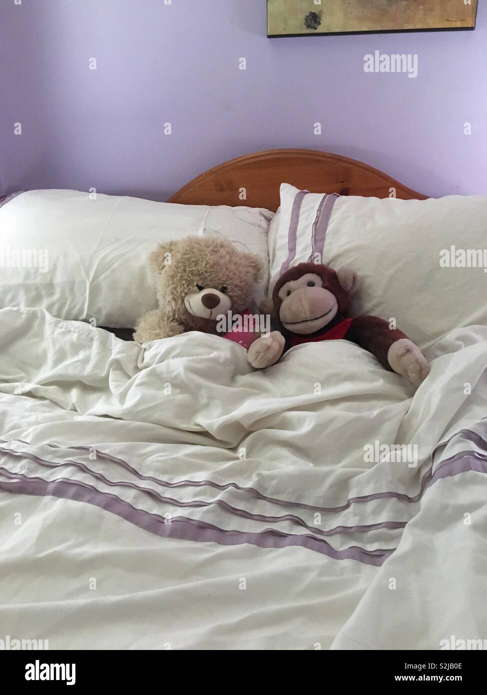 Amis Câlin dans mon lit Photo Stock - Alamy