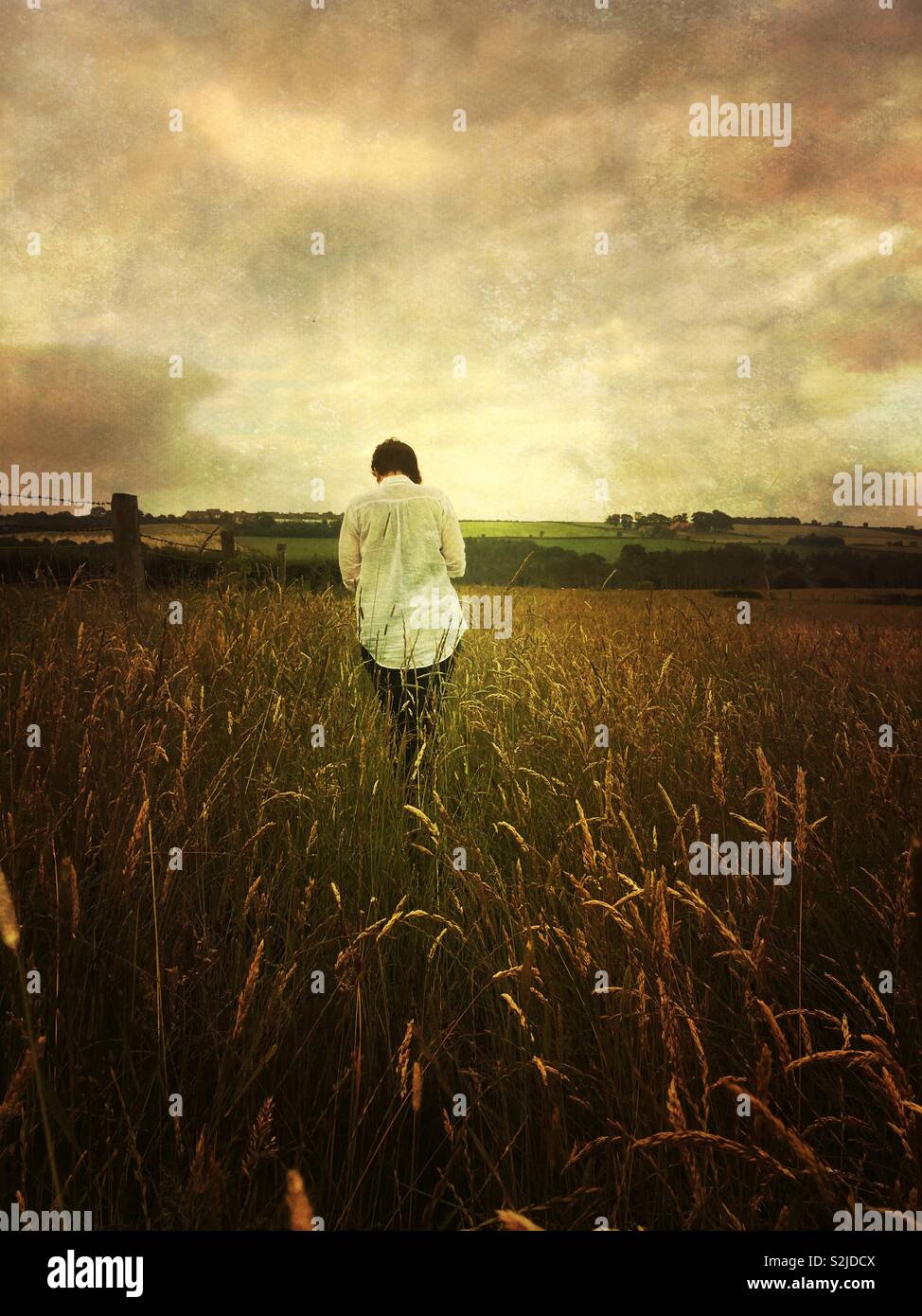 Marche à travers les champs d'un ciel nuageux en soirée. - Image de stock capturée avec un smartphone