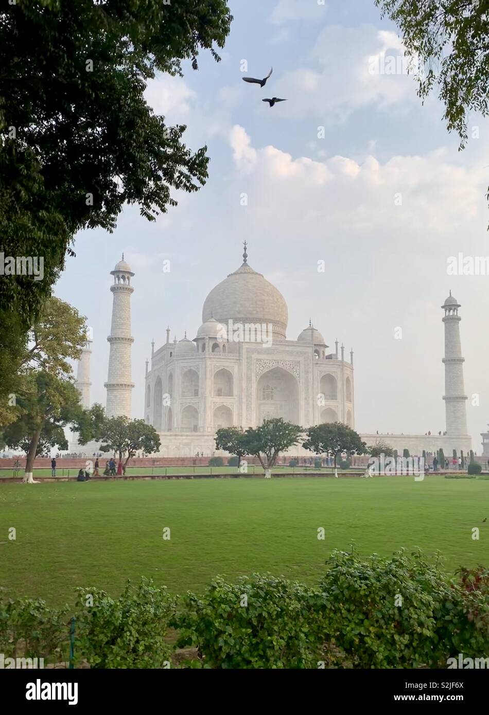 Taj Mahal et jardins, Agra, Inde Banque D'Images