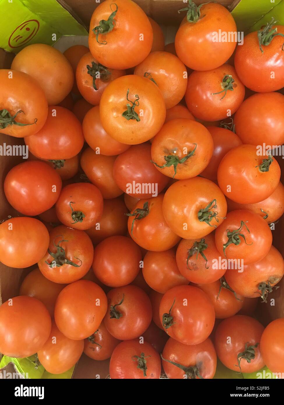 Les tomates à vendre à jardiniers Banque D'Images