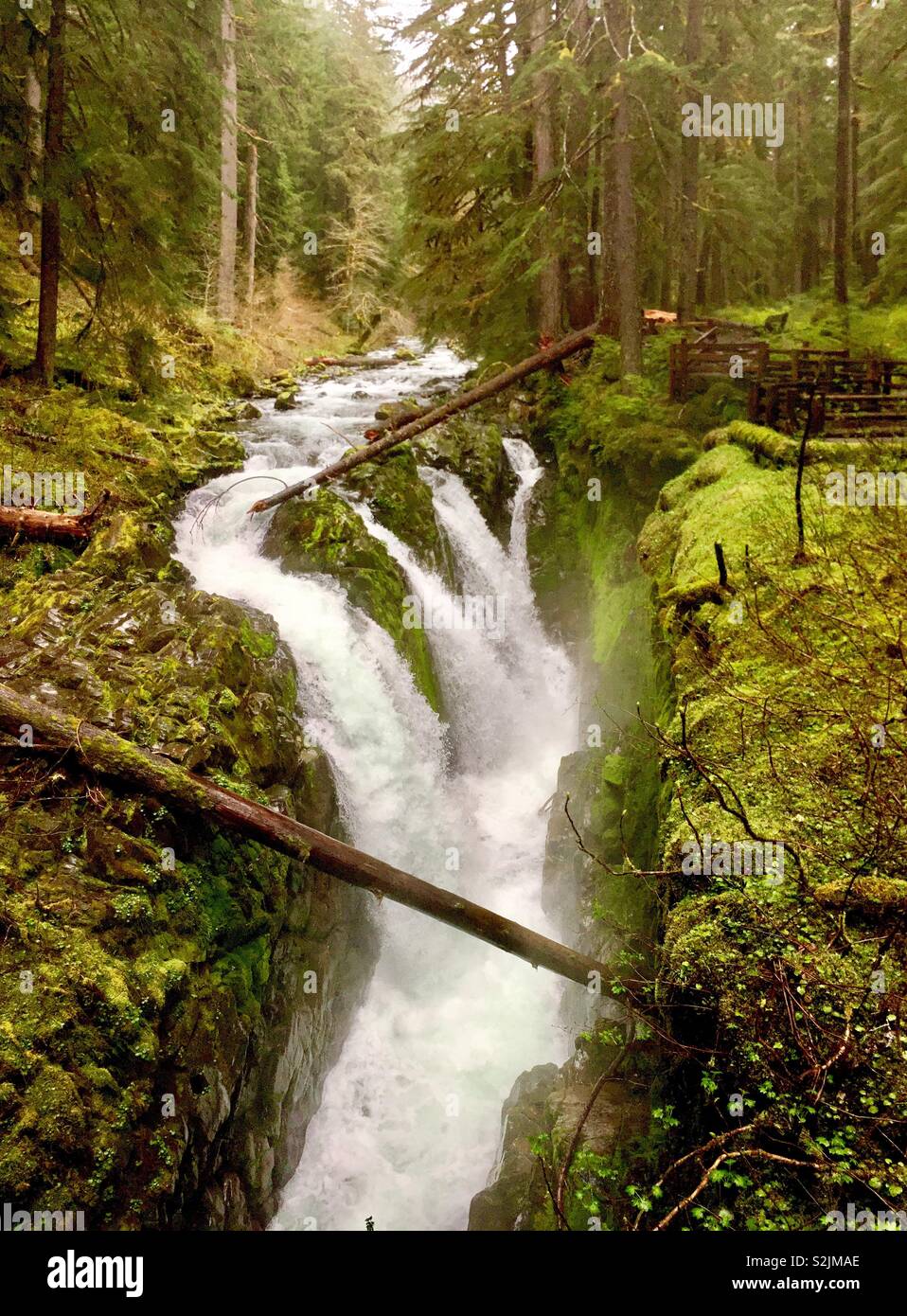 Sol Duc falls, Olympic National Park, Washington, USA Banque D'Images