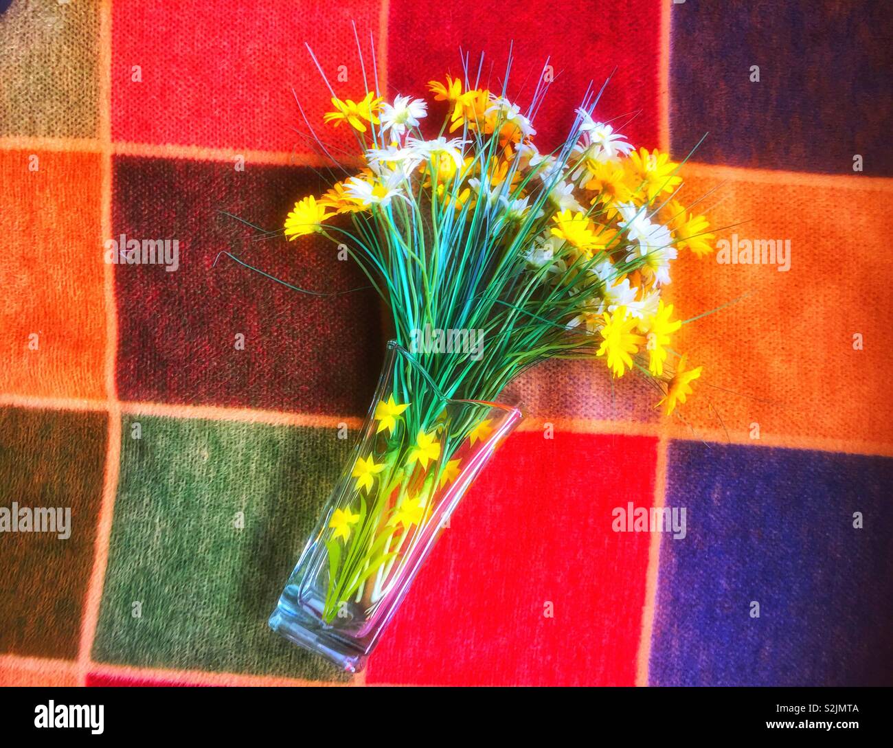 Fleurs artificielles dans un vase en verre sur un carré de couleur. Banque D'Images