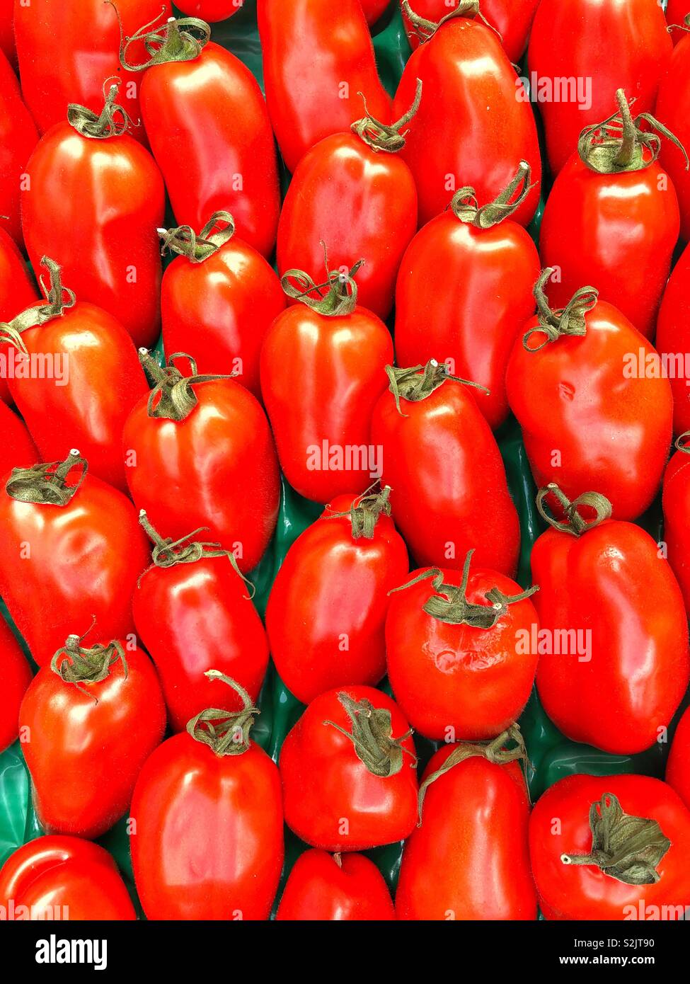 Les tomates Torino pour la vente dans un marché français Banque D'Images