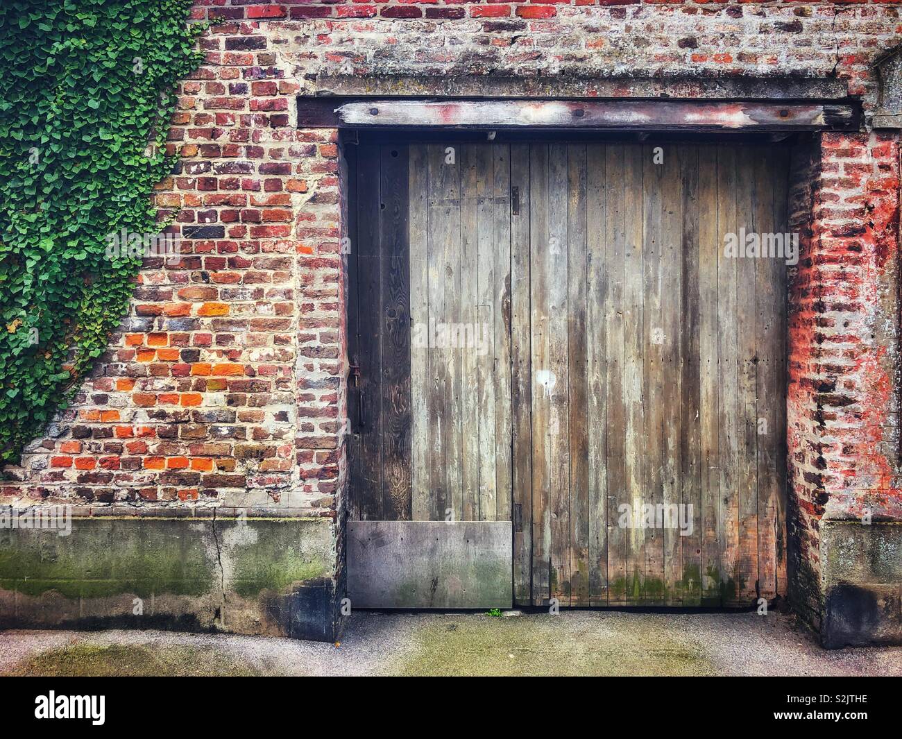 Vieille porte du garage situé dans un mur de lierre Banque D'Images