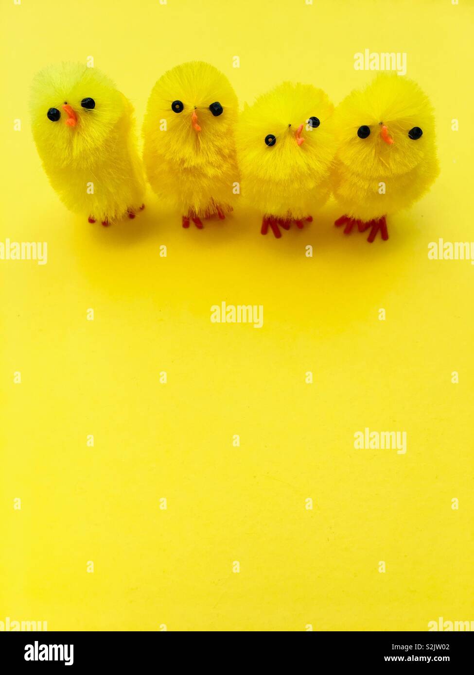 Les poussins de Pâques sur un fond jaune Banque D'Images