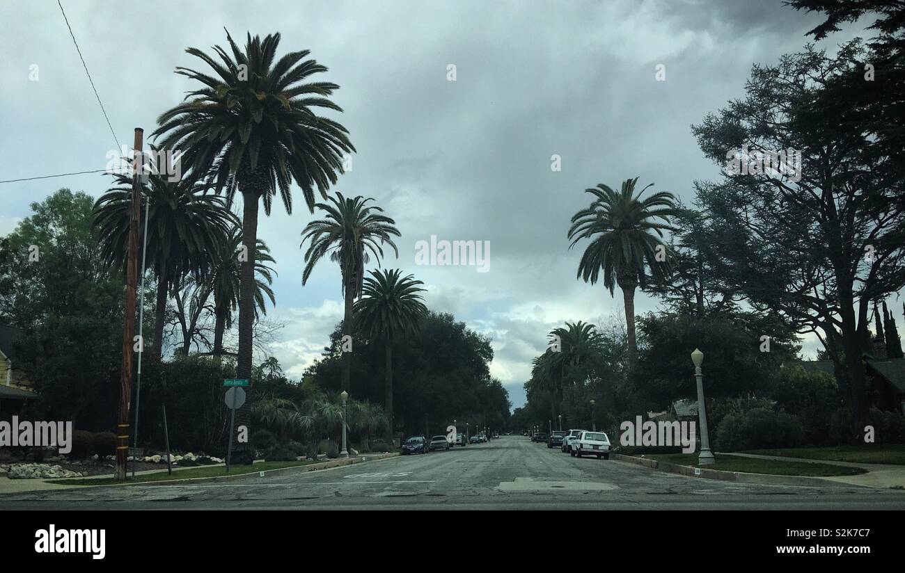 PASADENA, CA, mars 2019 : palm tree lined street dans la ville de Pasadena, au nord de Jefferson Park. Grande route avec des voitures garées sur les côtés Banque D'Images