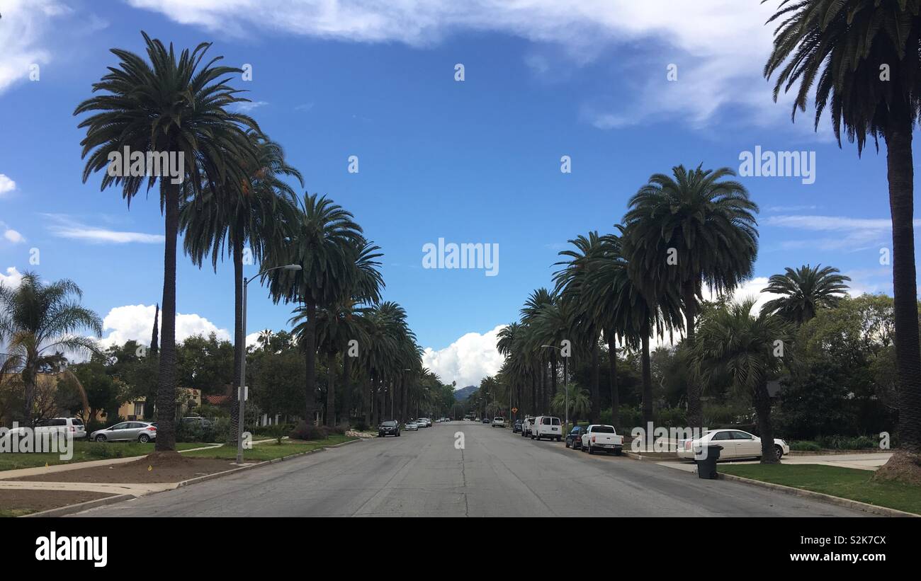 PASADENA, CA, mars 2019 : grande rue résidentielle, bordée de palmiers, des deux côtés. Peu de voitures garées sur les côtés et maisons en retrait de trottoirs. Un ciel bleu, montagne en arrière-plan - Image de stock capturée avec un smartphone