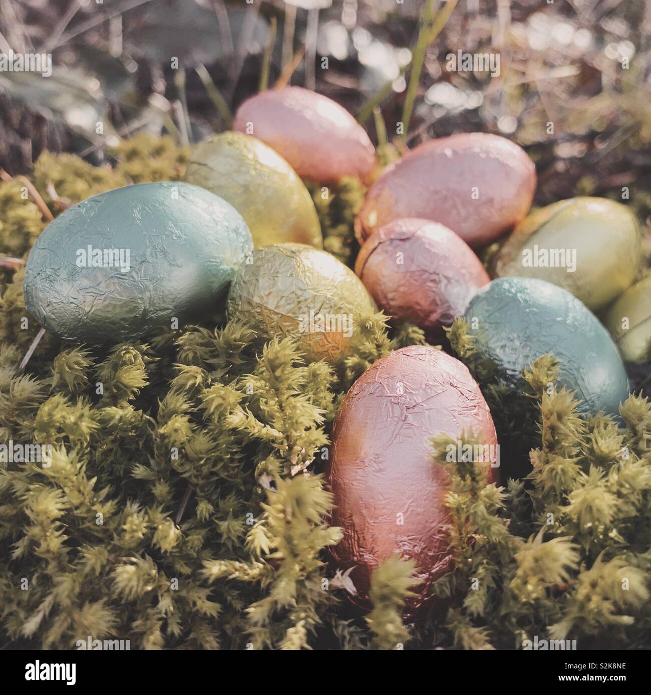 Close up of aluminium oeufs de Pâques en chocolat à l'extérieur de la mousse sur un sol forestier. - Image de stock capturée avec un smartphone