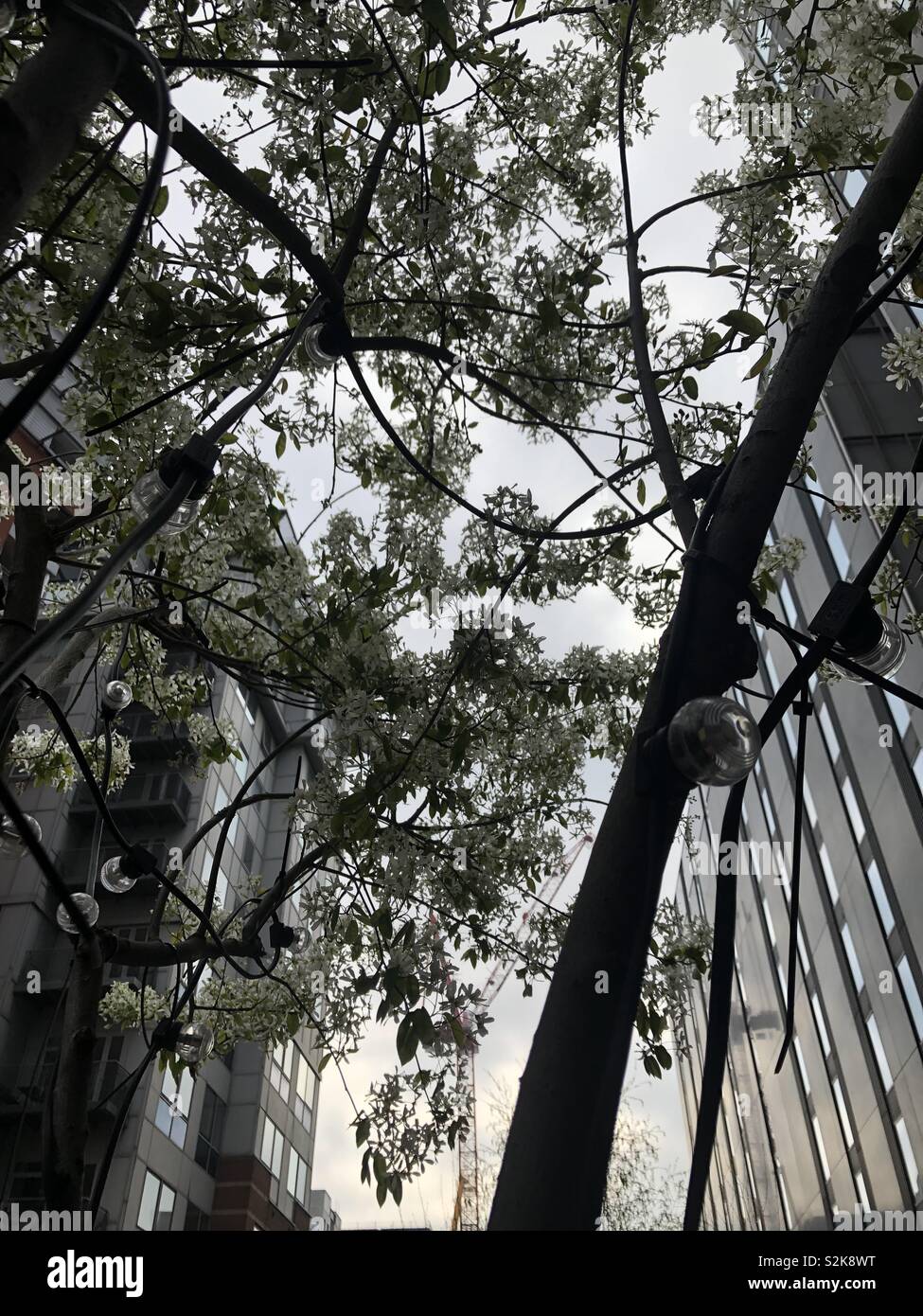 La nature dans la ville Banque D'Images