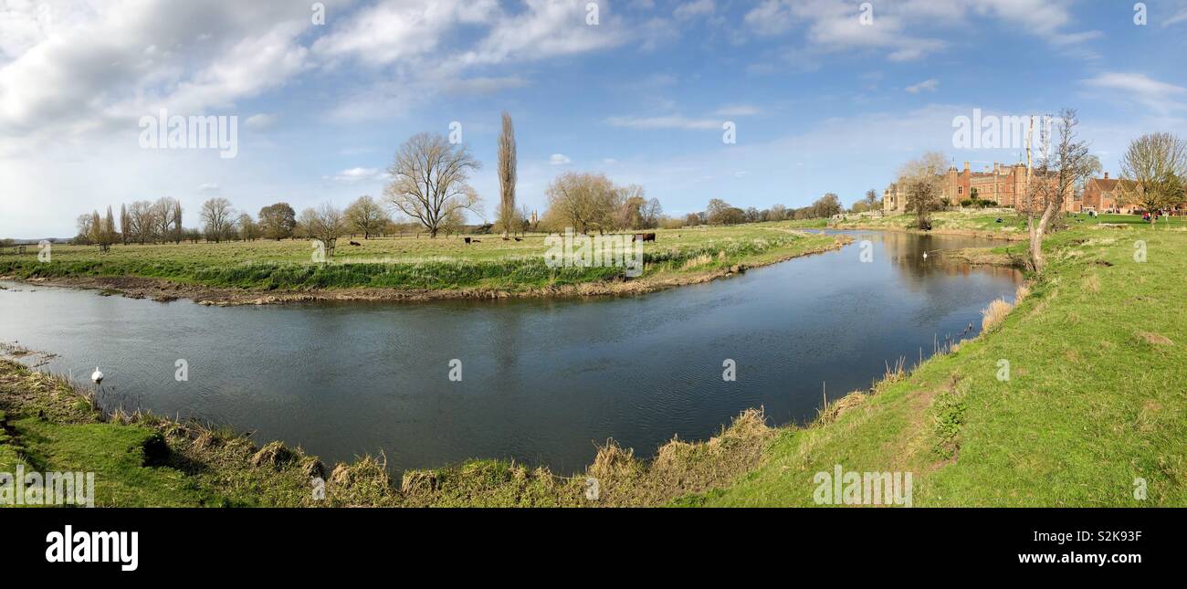 Panorama de la rivière Avon et dans le Warwickshire, Charlecote Park avec des cygnes, des bovins et lointain clocher d'église. - Image de stock capturée avec un smartphone
