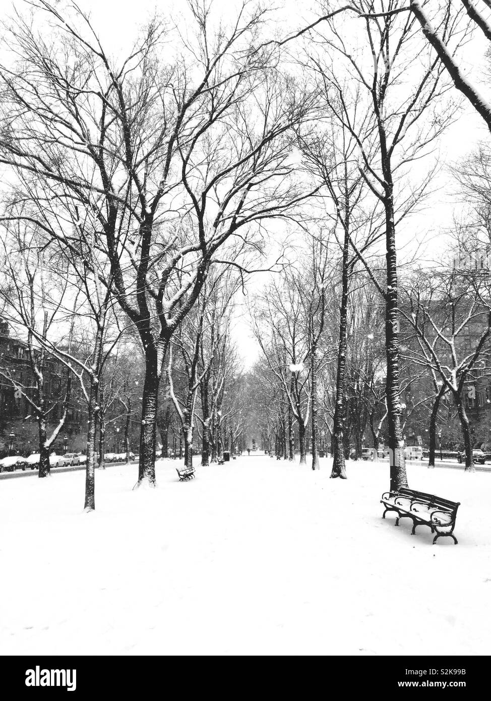Scène de neige dans un parc de la ville, Commonwealth Avenue, Boston, Massachusetts Banque D'Images