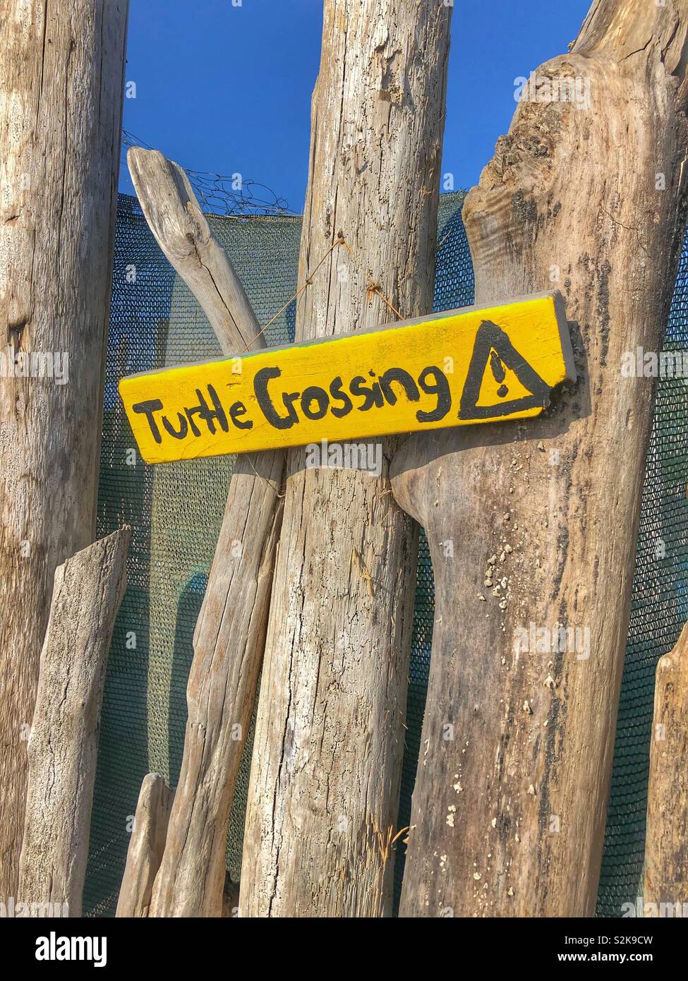 Turtle crossing sign. Banque D'Images