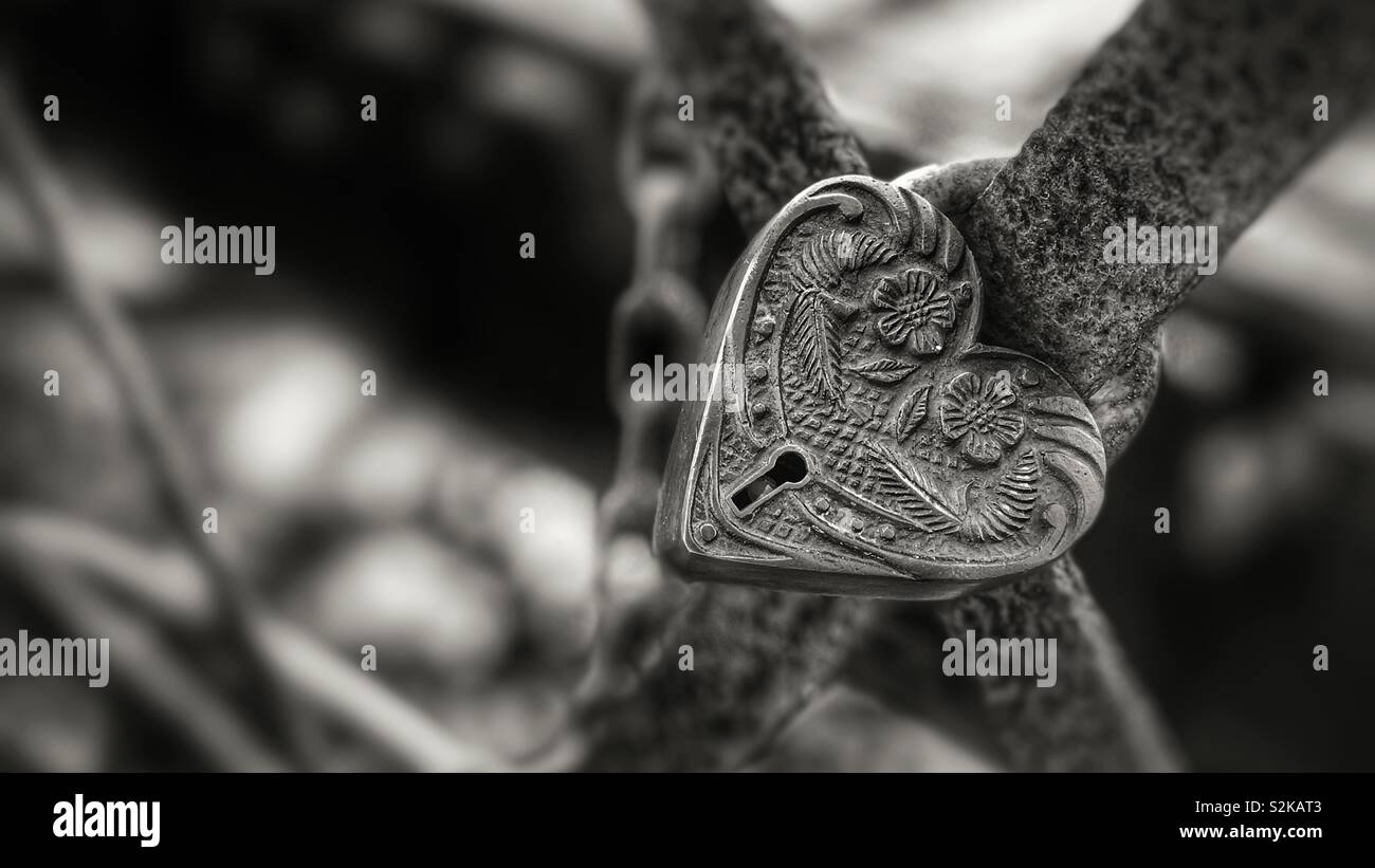 L'amour en forme de coeur orné de blocage pont sur chevalets - Image de stock capturée avec un smartphone