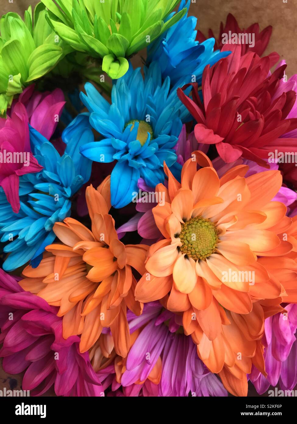 Teints de couleurs vives dans un bouquet de marguerites Banque D'Images