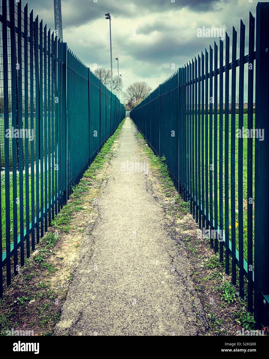 Perspective chemin vide encadrée par l'école verte l'escrime Banque D'Images