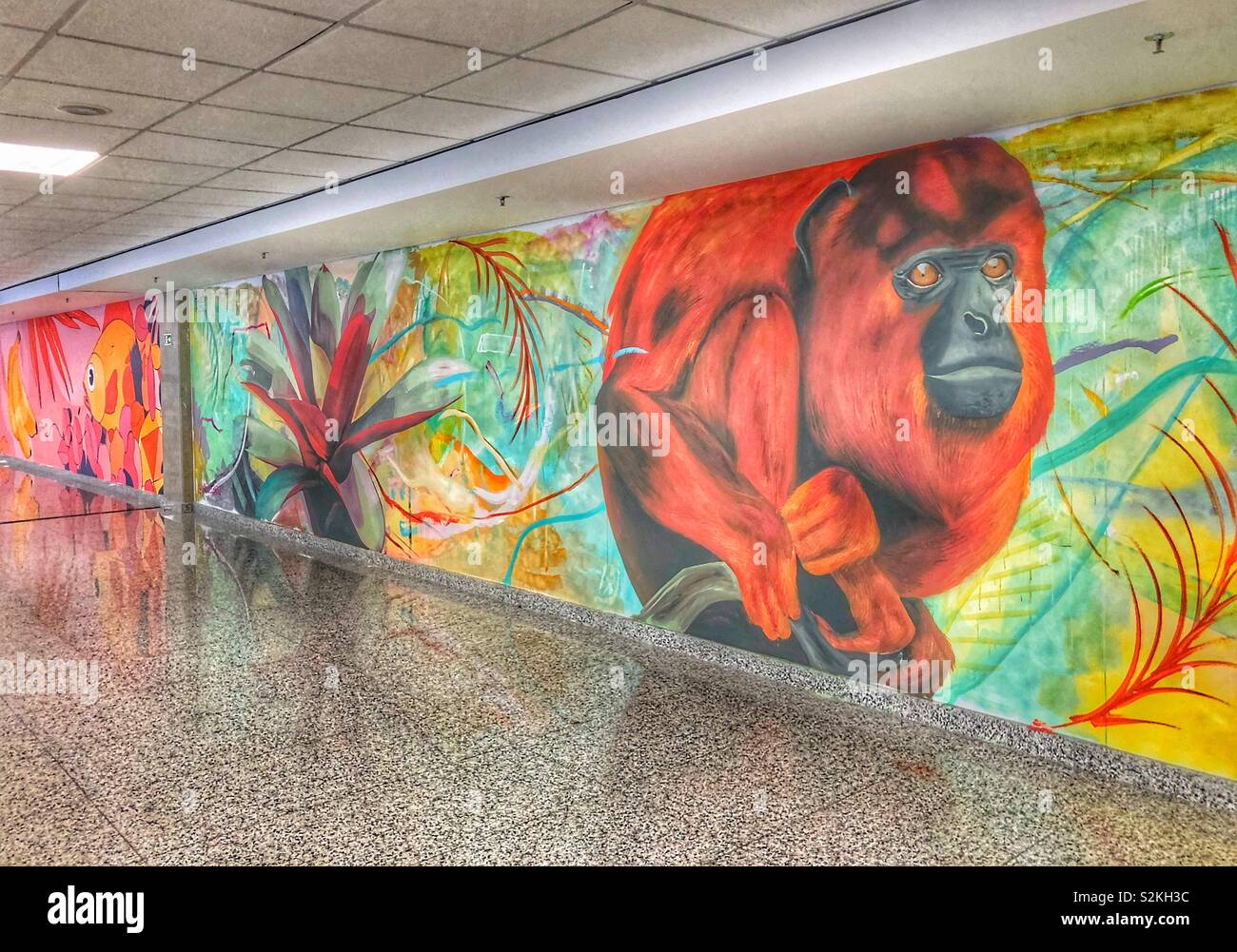Thème Nature murales dans le hall de l'aéroport de Rio de Janeiro. Banque D'Images