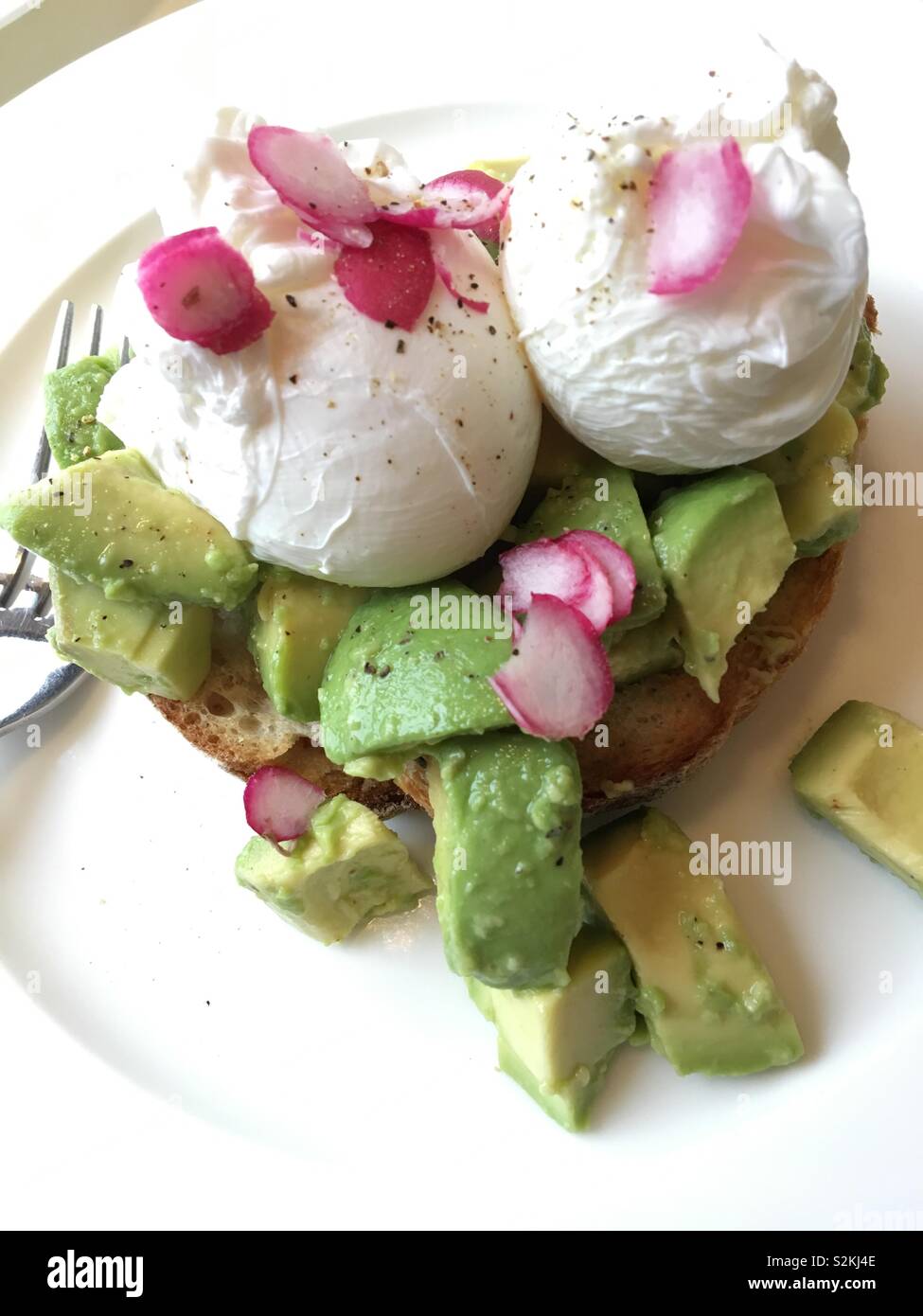 L'avocat et œufs pochés sur toast au levain Banque D'Images