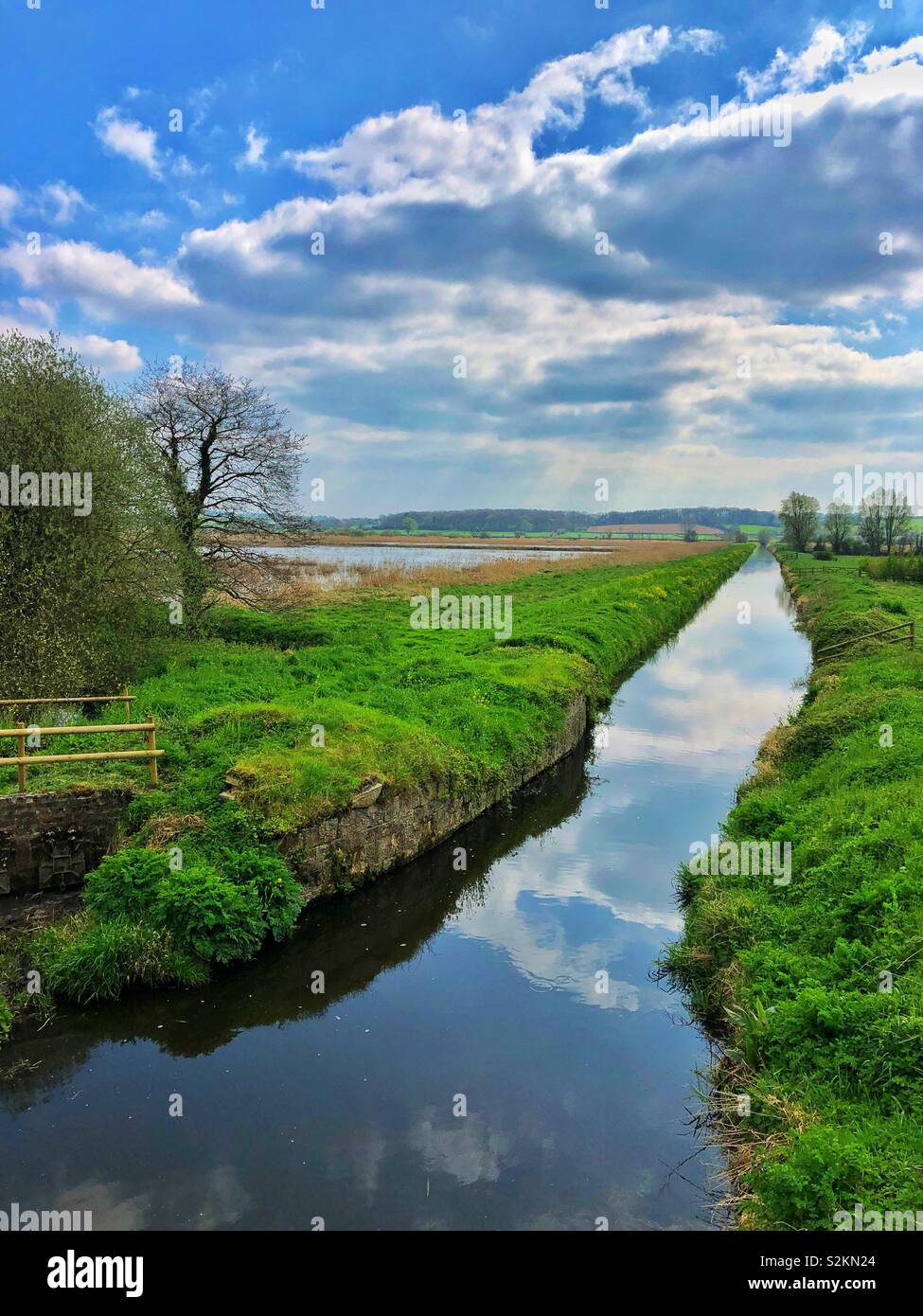 Jambon réserve RSPB de mur, les niveaux de Somerset, Angleterre, avril. Banque D'Images
