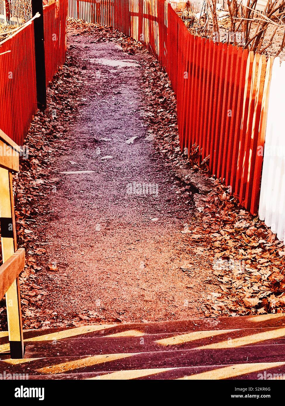 Les feuilles tombées sur le flanc du chemin avec clôture peint en rouge, la Suède Banque D'Images