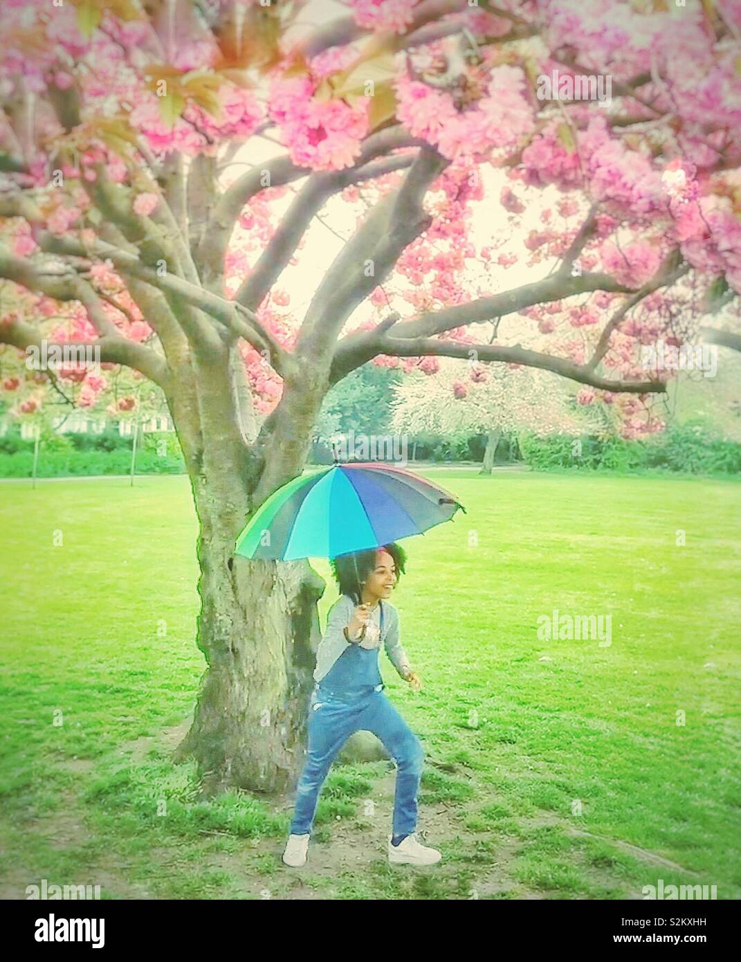 Une fille avec un parapluie sous un arbre de fleur de printemps. Banque D'Images Une fille avec un parapluie sous un arbre de fleur de printemps. Banque D'Images
