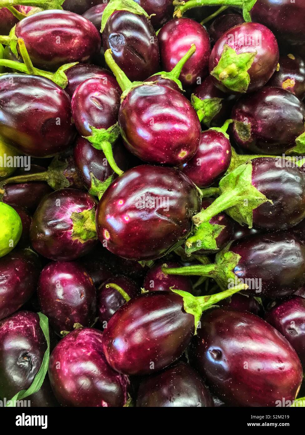 Image complète de produits frais délicieux ripe purple aubergine bébé d'une exposition-vente à la marché du terroir. Banque D'Images