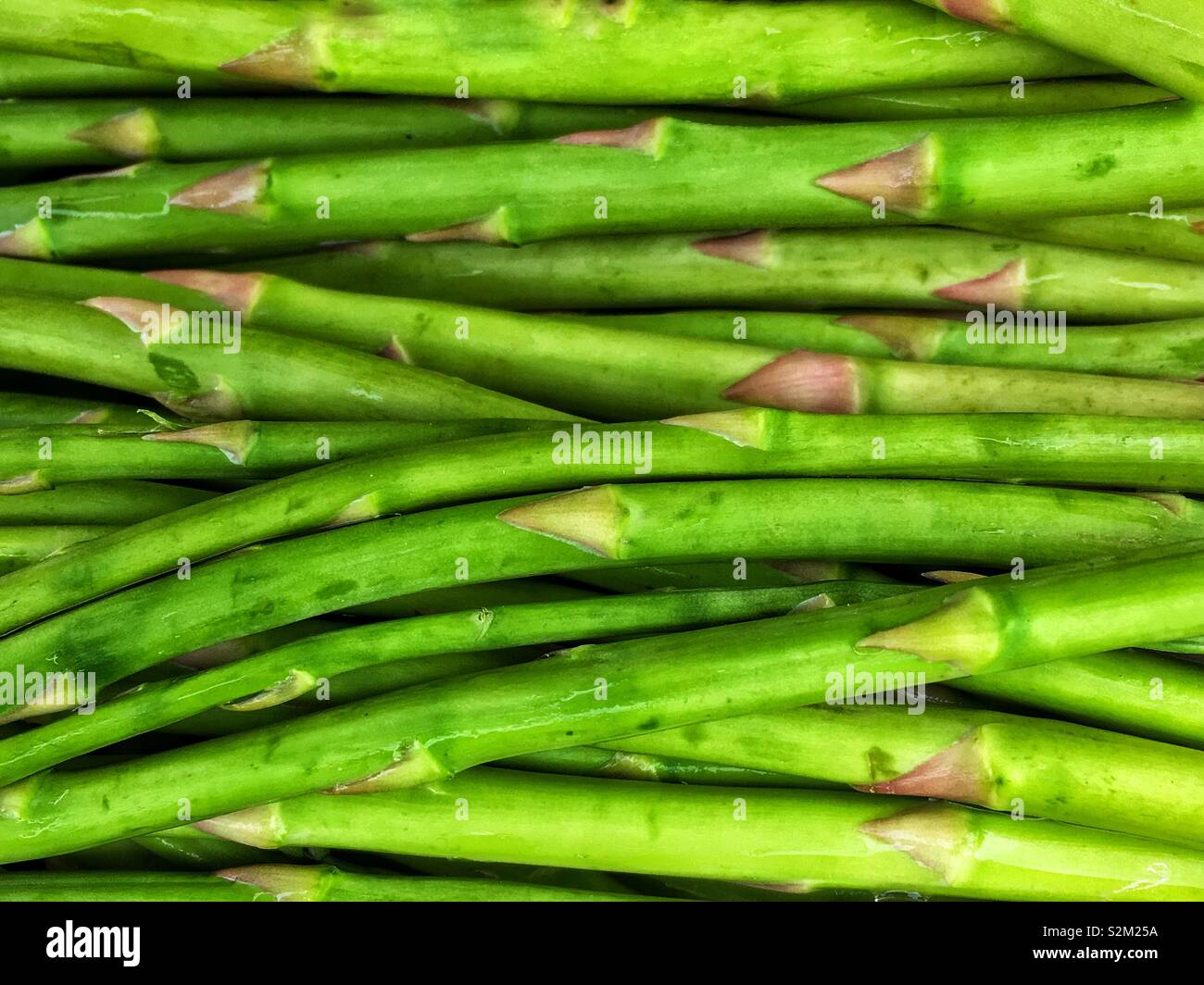 Farm Fresh de délicieuses asperges vertes grillées sur le barbecue. Banque D'Images