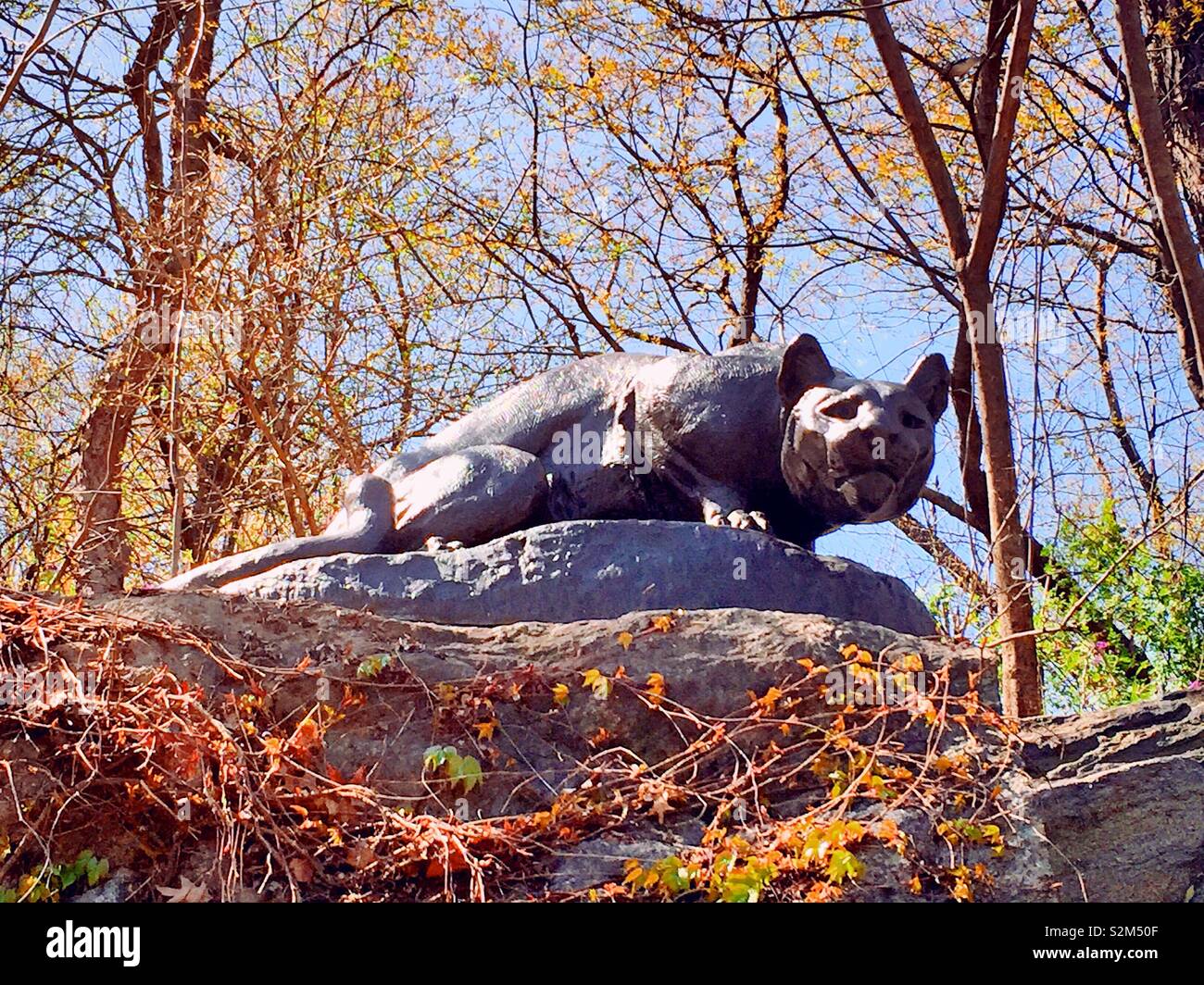 " Chassons toujours" sculpture cougar, East Drive,"Cat Hill", Central Park, NYC Banque D'Images