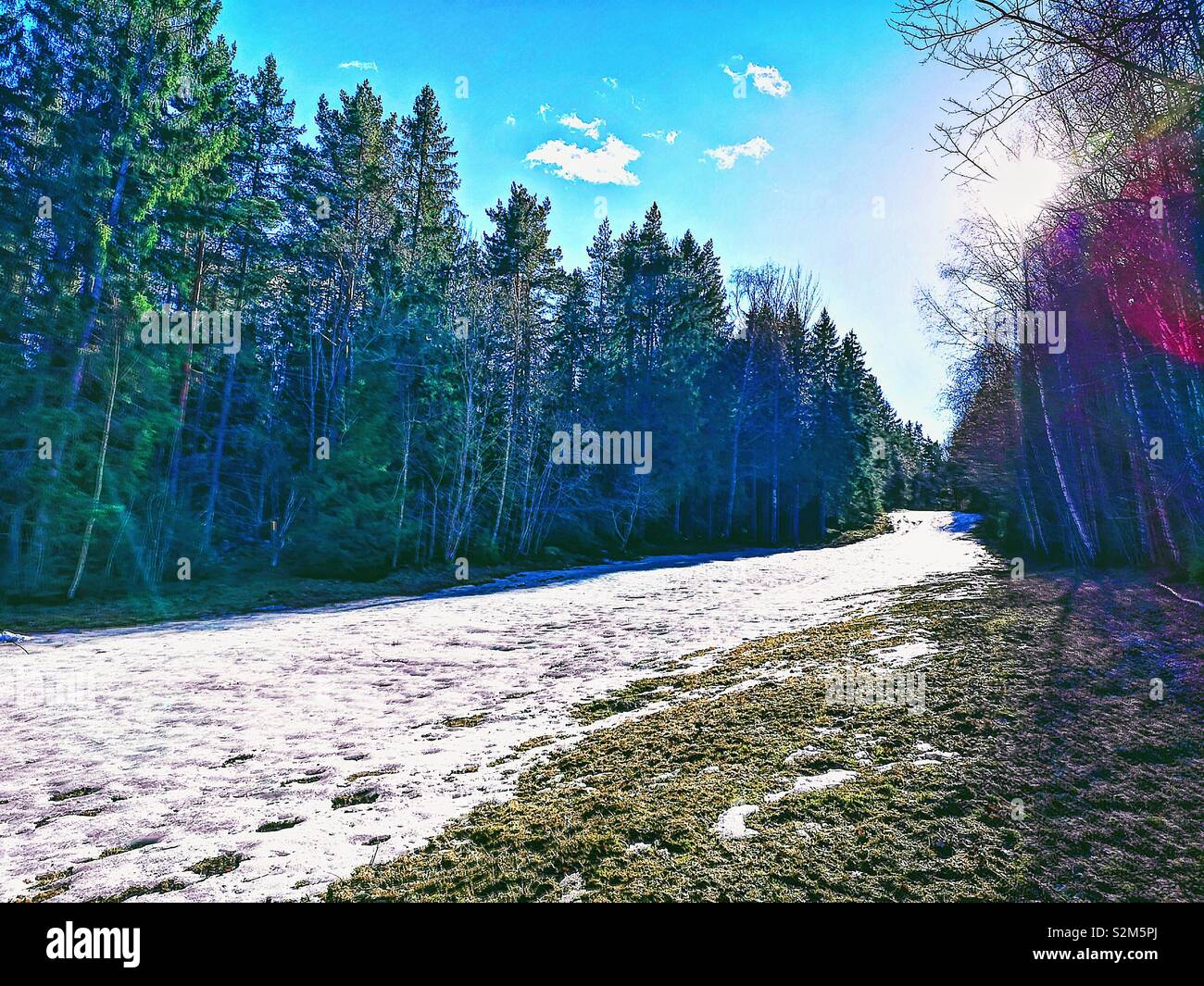 La fonte la fonte de la neige et de la glace sur pente en forêt, Suède, Scandinavie Banque D'Images