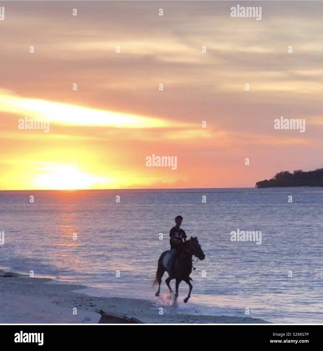 Horse Rider sur sunset Bali Banque D'Images