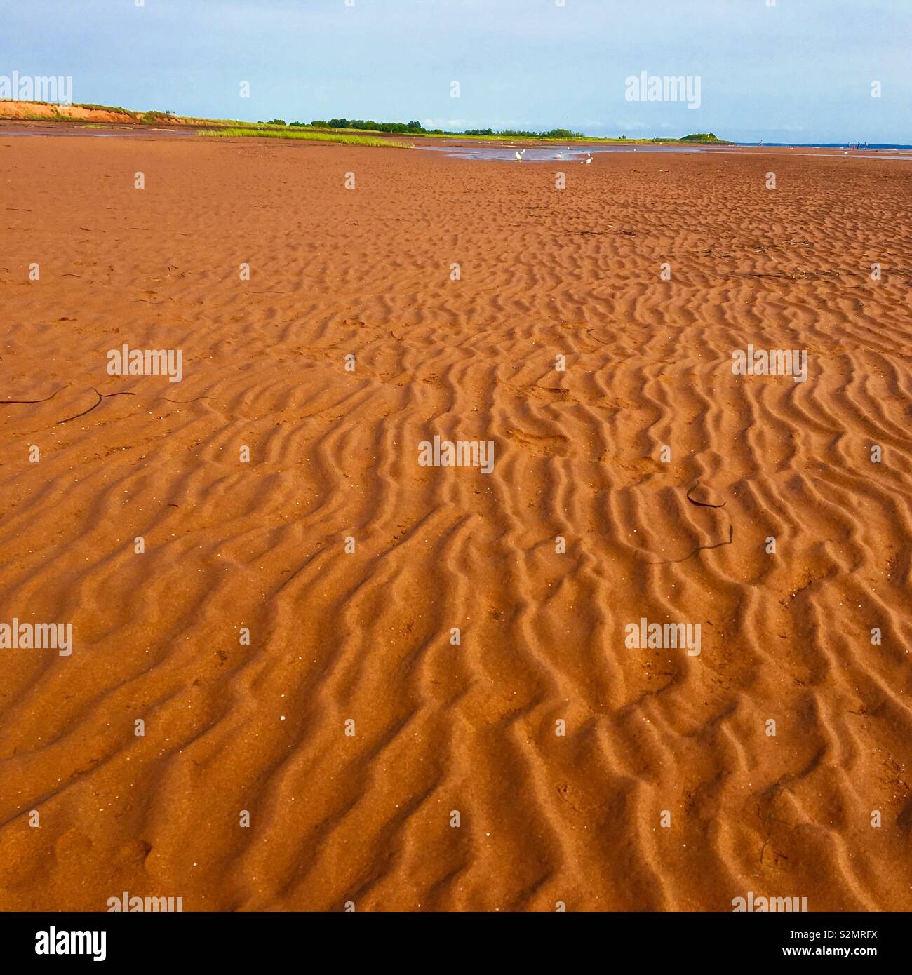 Sable rouge sur plage de l'Île du Prince Édouard CANADA Banque D'Images
