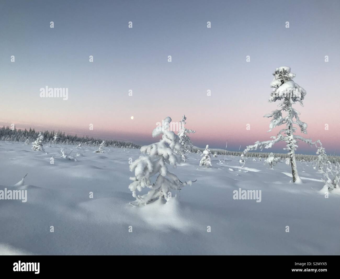 Laponie neige scène Banque D'Images